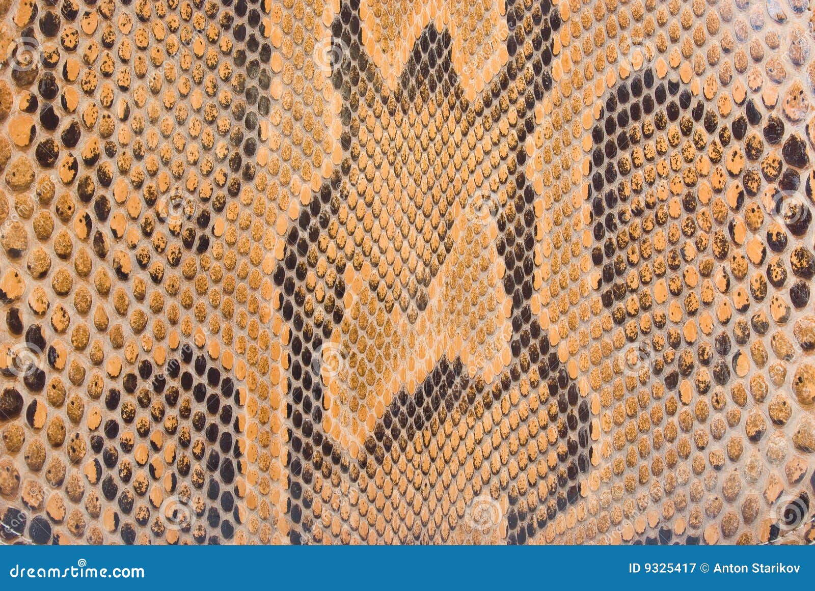 Textura De La Piel Del Pitón Imagen de archivo - Imagen de extracto,  reptil: 9325417