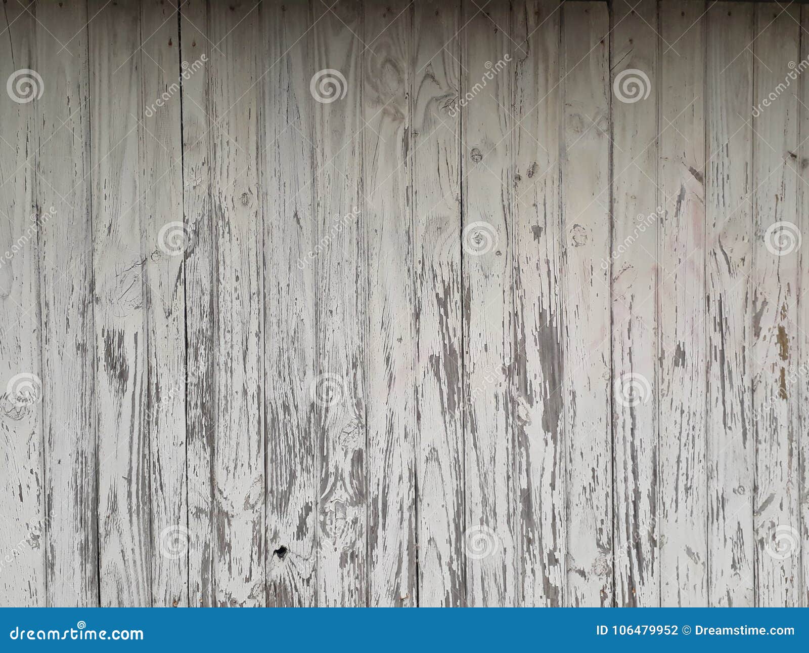 textura de madera blanca / white wood texture