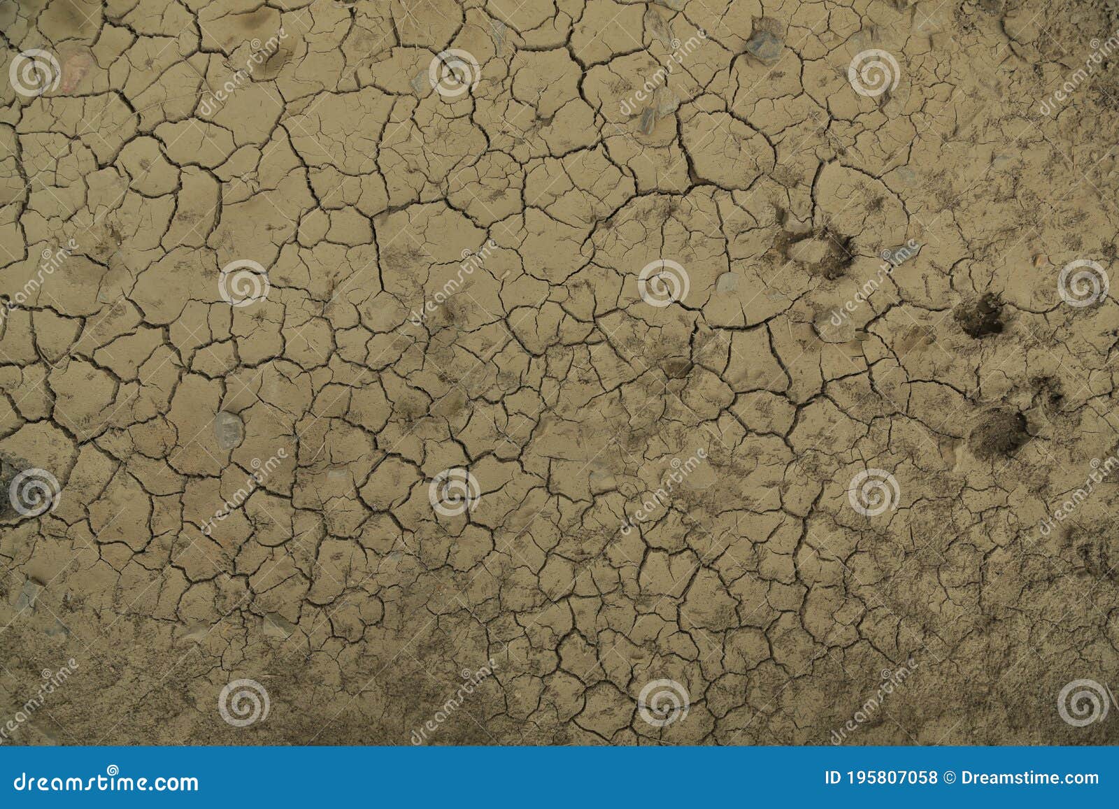 textura de tierra agrietada despuÃÂ©s del efecto de paso del agua, en tonos marrones.