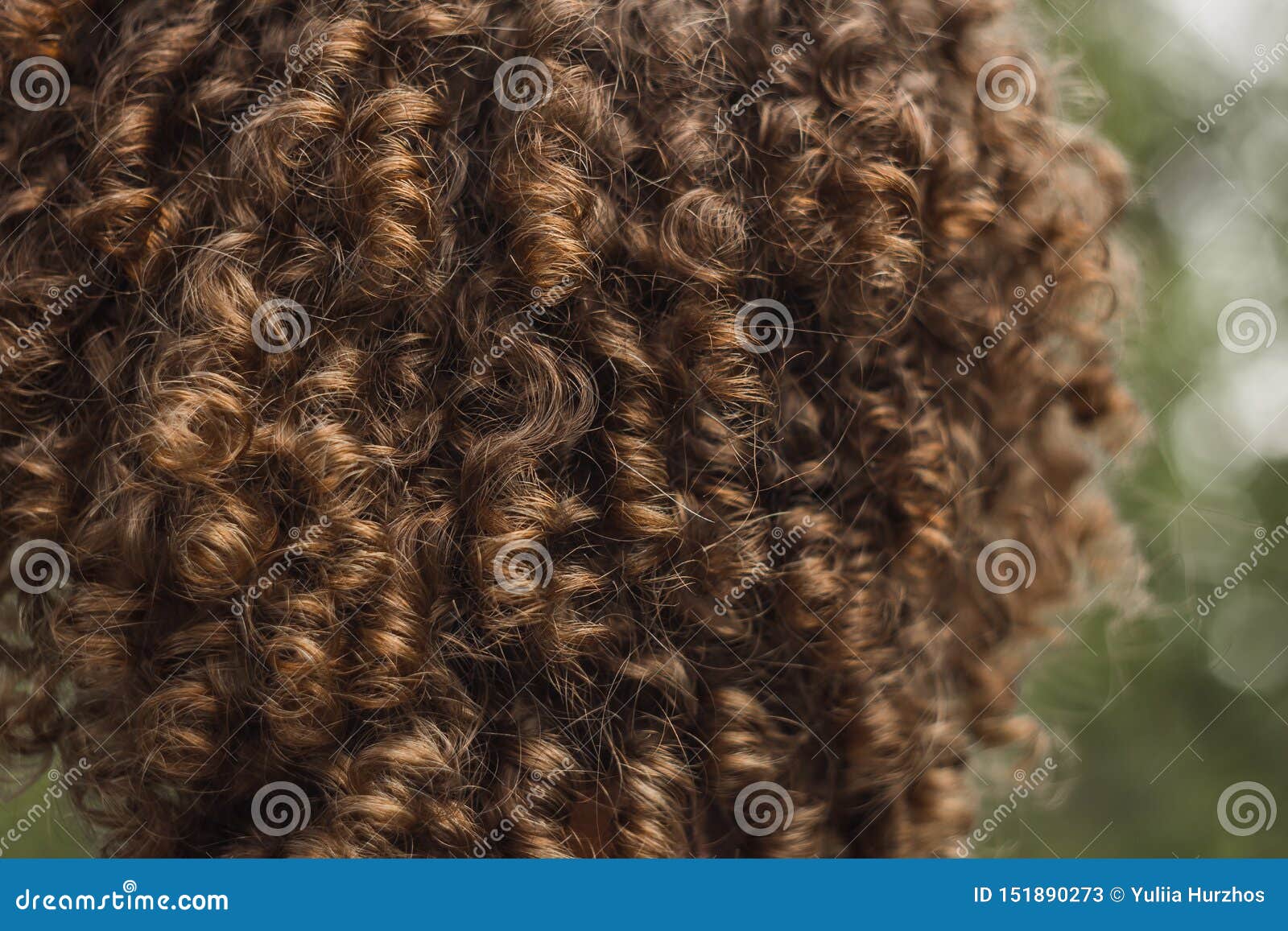Textura Del Cierre Masculino Del Pelo Rizado Para Arriba Ondulación Permanente Para Hombres Hairdo Con Estilo de archivo Imagen de afro, retrato: 151890273