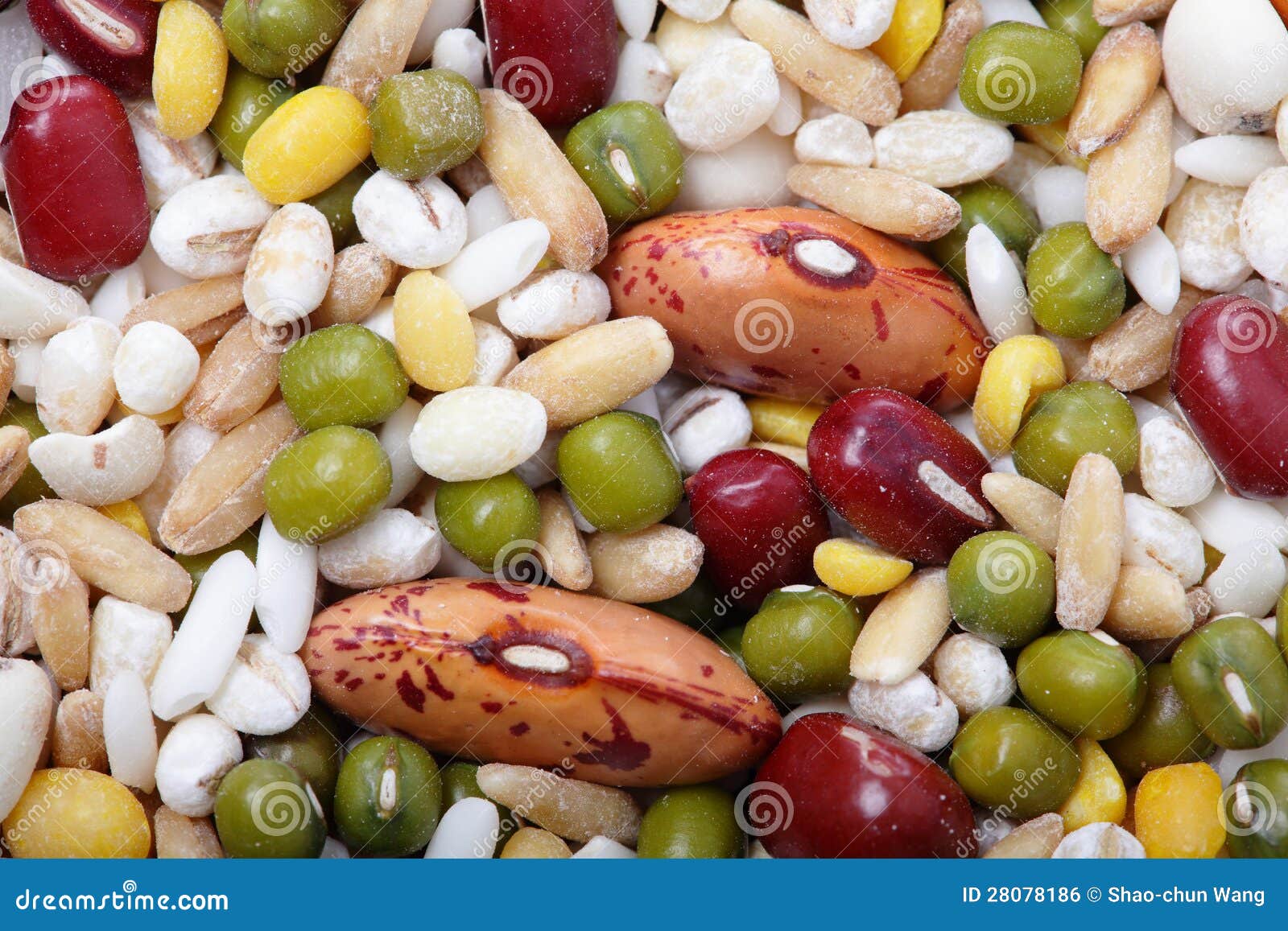 Texture of All Kind Beans and Legumes Stock Photo Image of beans