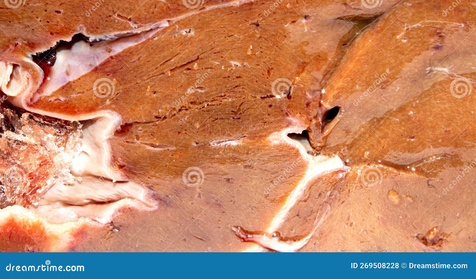 The Texture of Beef Liver.Fresh Raw Beef Liver Top View Stock Photo Image of diet, view 269508228