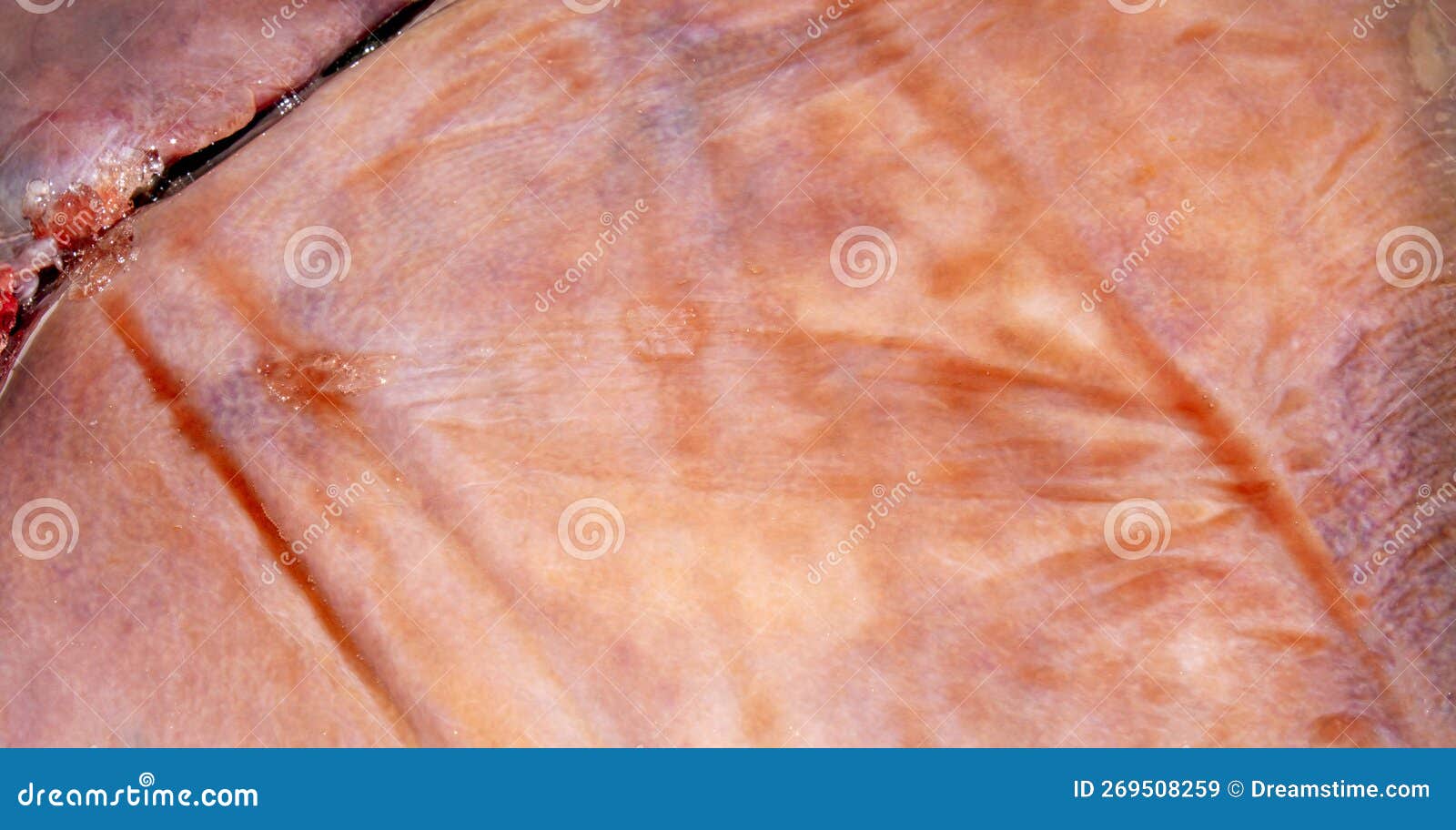 The Texture of Beef Liver.Fresh Raw Beef Liver Top View Stock Image