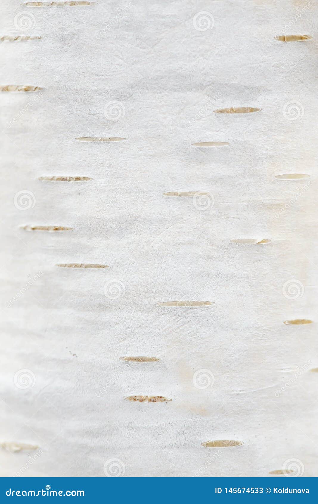 BW3963  White  Beige  Silver Birch Bark Modern Wood Texture Wallpaper