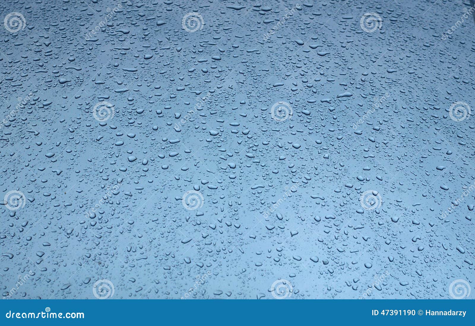 Texture Black Car Hood with Rain Drops Stock Photo Image of drops