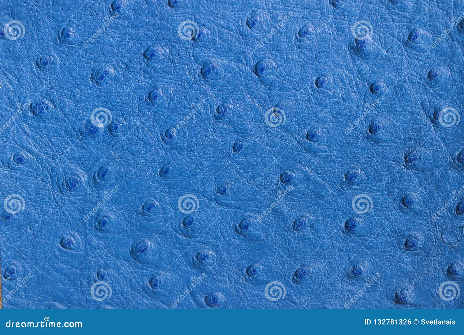 Texture of Blue Genuine Ostrich Stamped Leather Close-up, Matte Surface,  Fashion, Exotic, Trendy Background. Concept of Stock Photo - Image of  genuine, full: 132781326