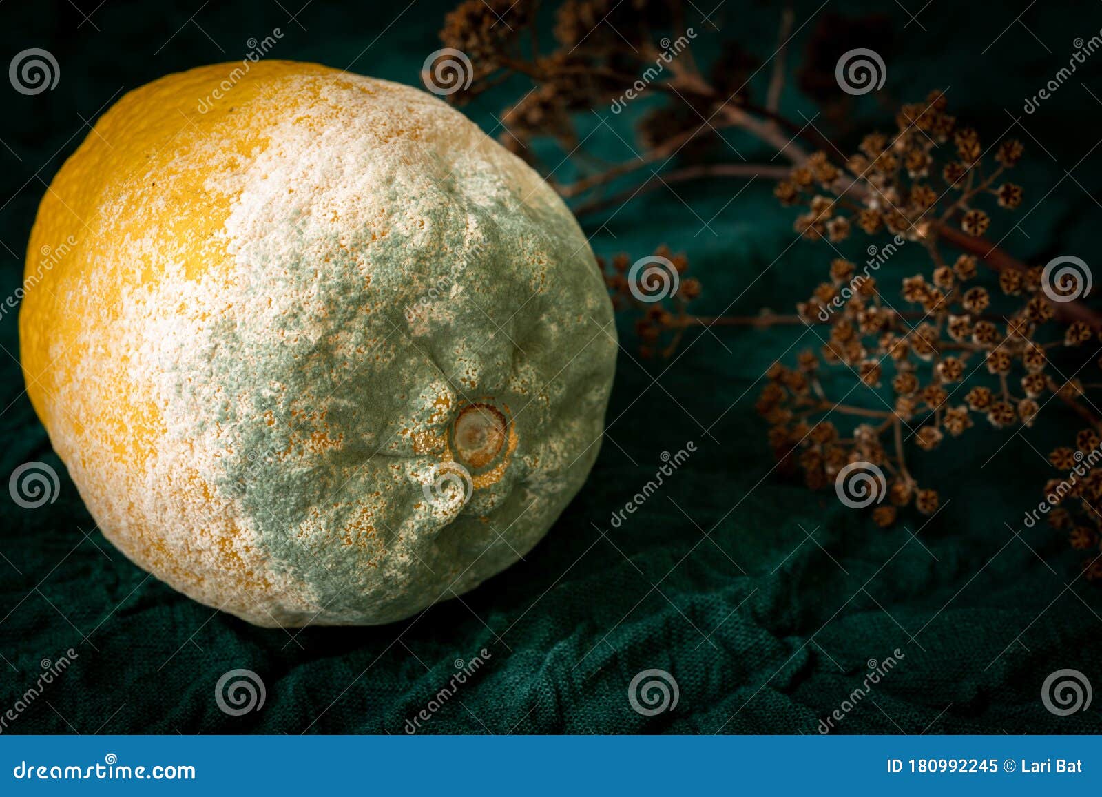 https://thumbs.dreamstime.com/z/texture-blue-mold-lemon-yellow-spoiled-rotting-green-rustic-background-citrus-fruits-fungus-fruit-180992245.jpg