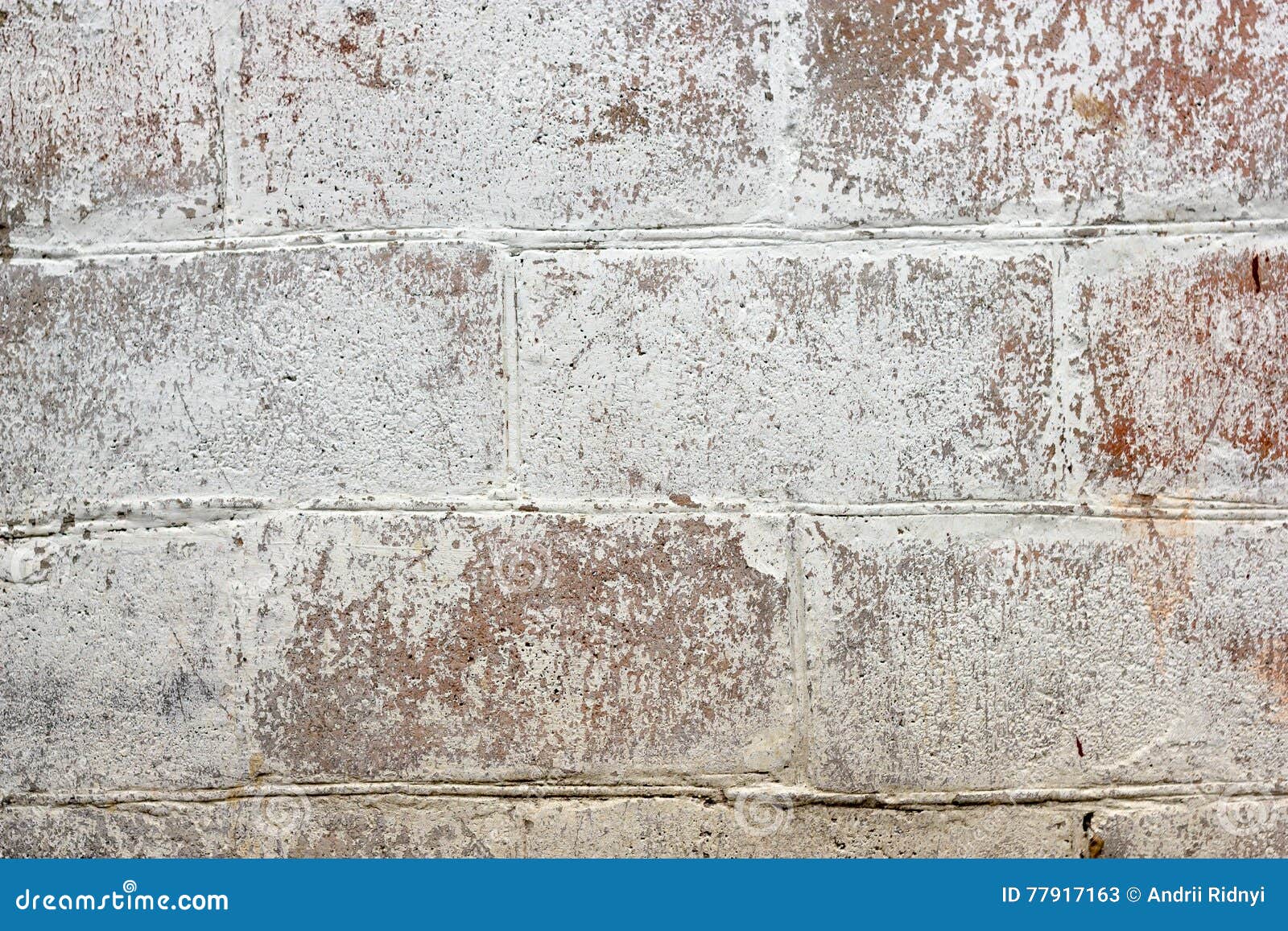 Texture of a Brick Wall with White Coating Stock Image Image of house, outside 77917163
