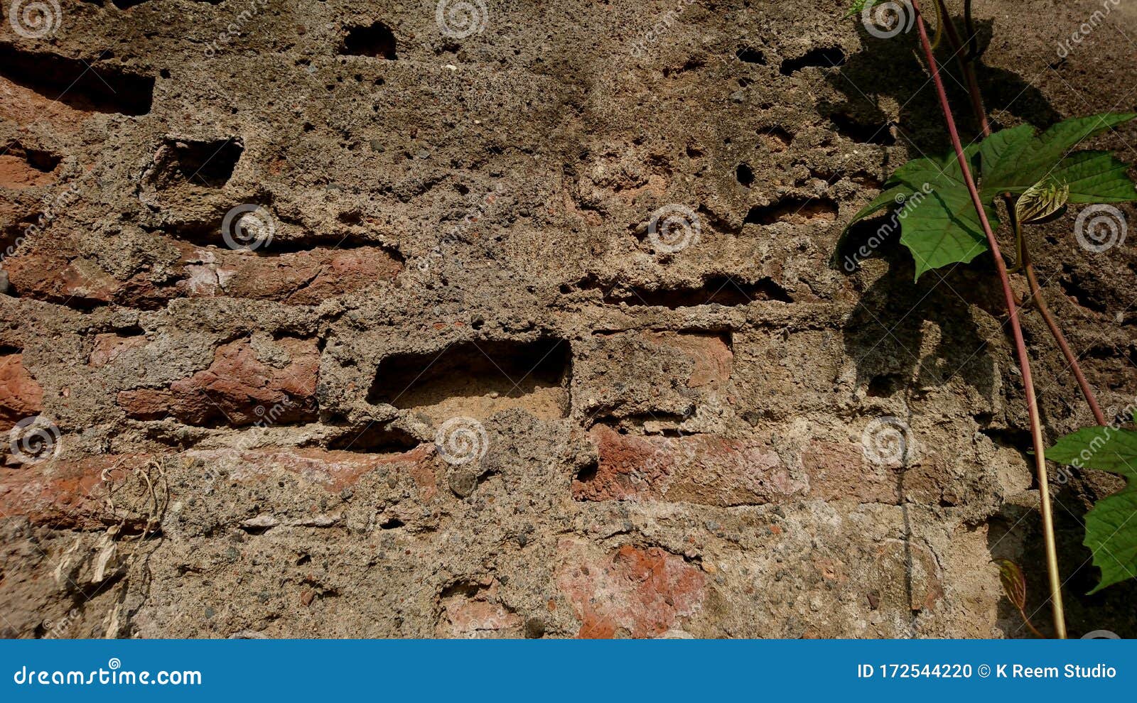 The Texture of the Brick Wall Whose Plaster is Broken and Hollow Stock
