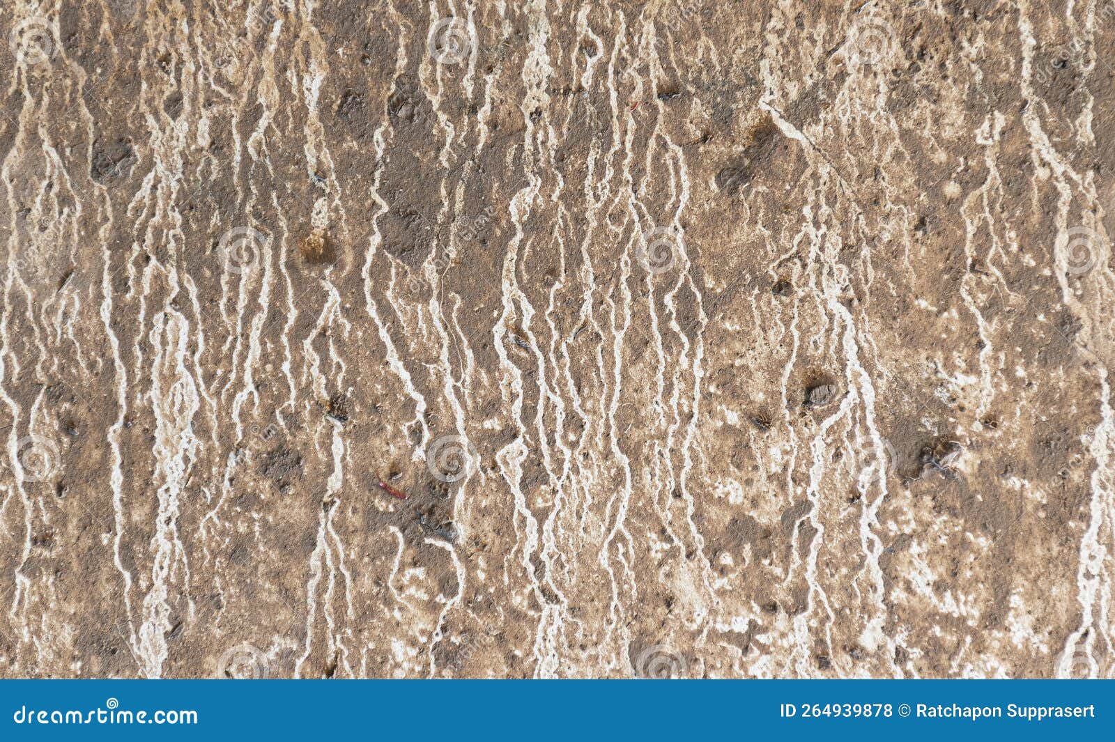 Texture Cement Wall with Rain Stains Stock Photo Image of destroyed