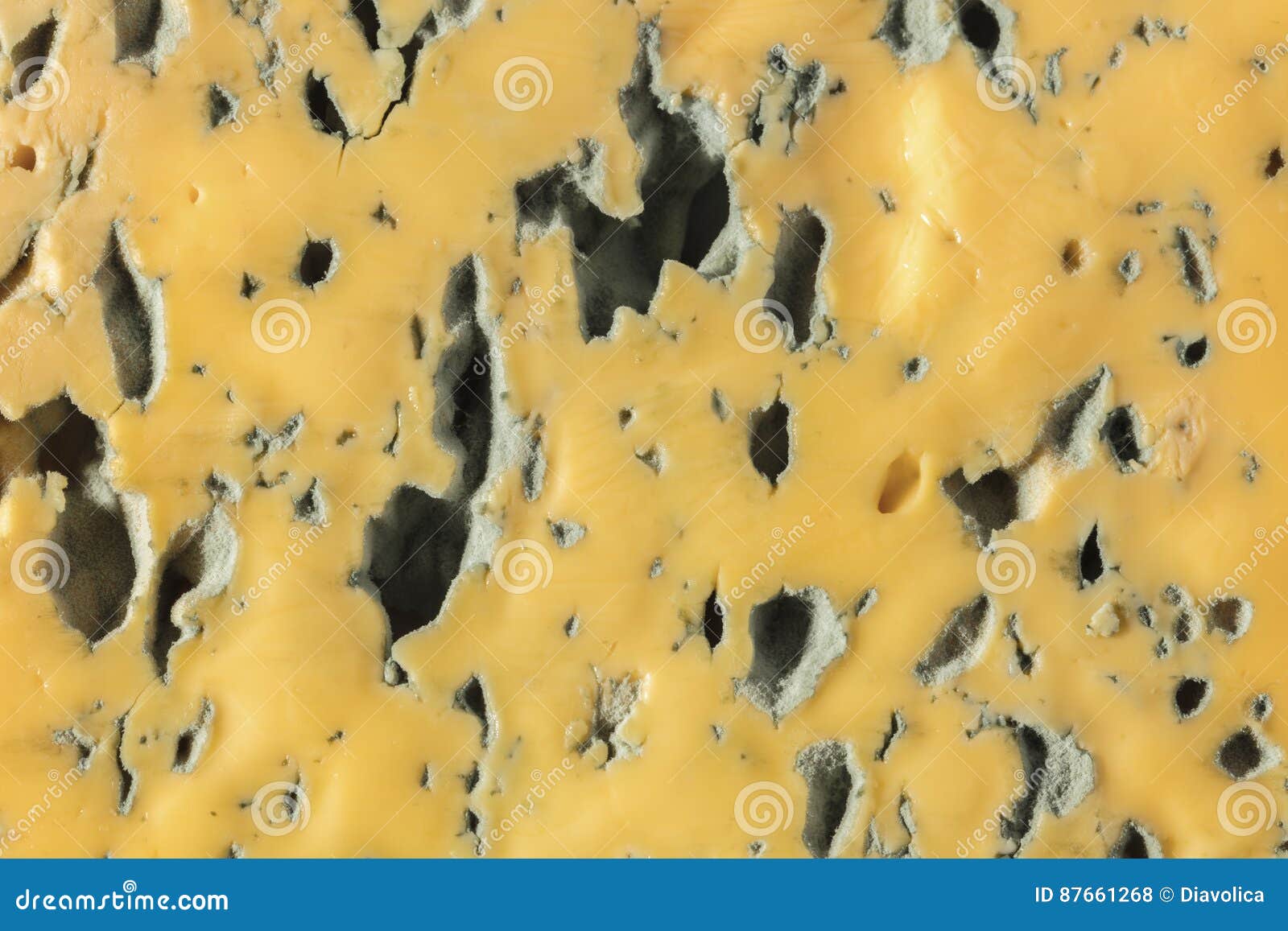 Texture of Cheese with Blue Mold Stock Photo Image of veined, gourmet