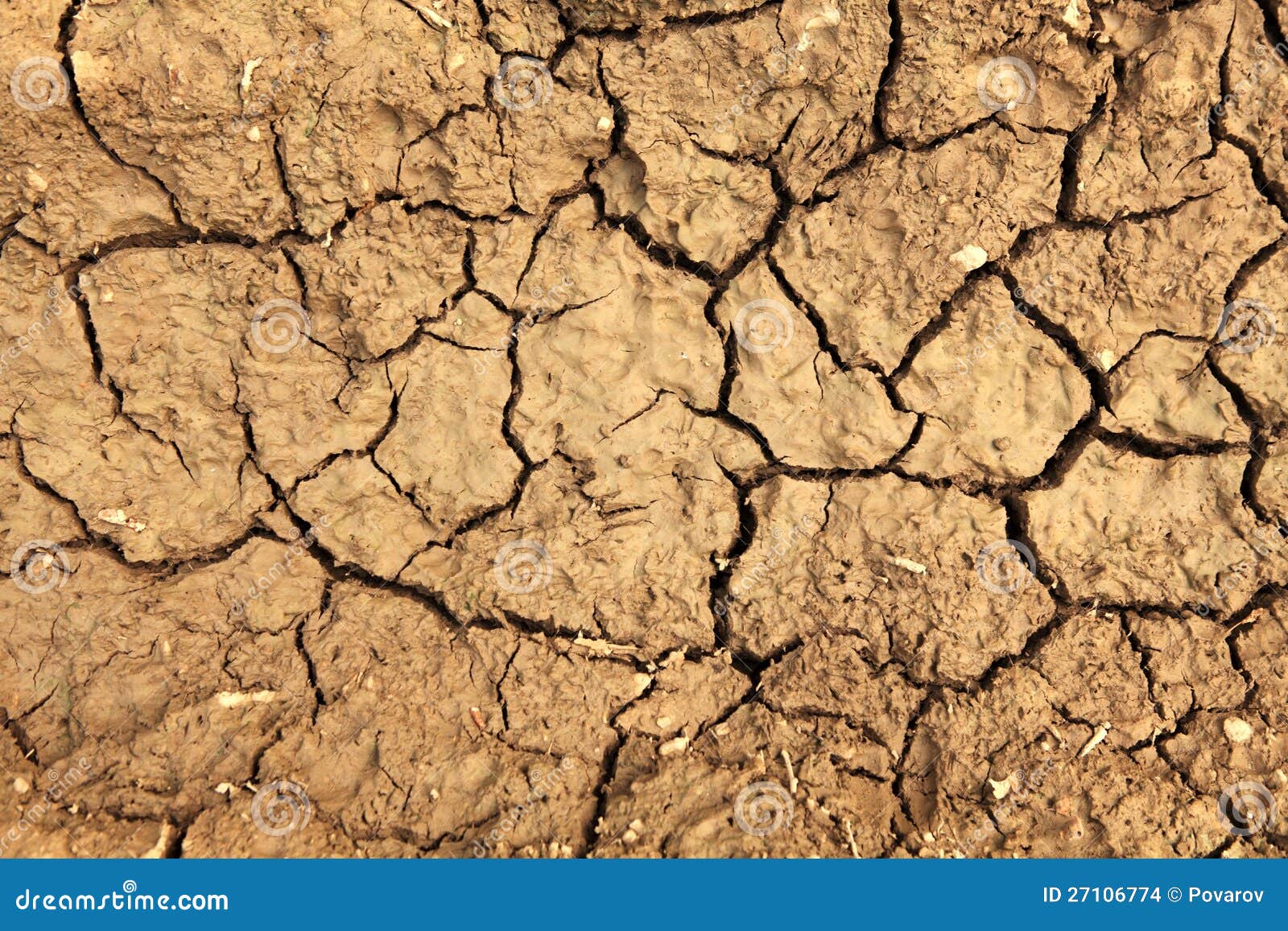 Texture of clay stock photo. Image of land, clay, nature 27106774