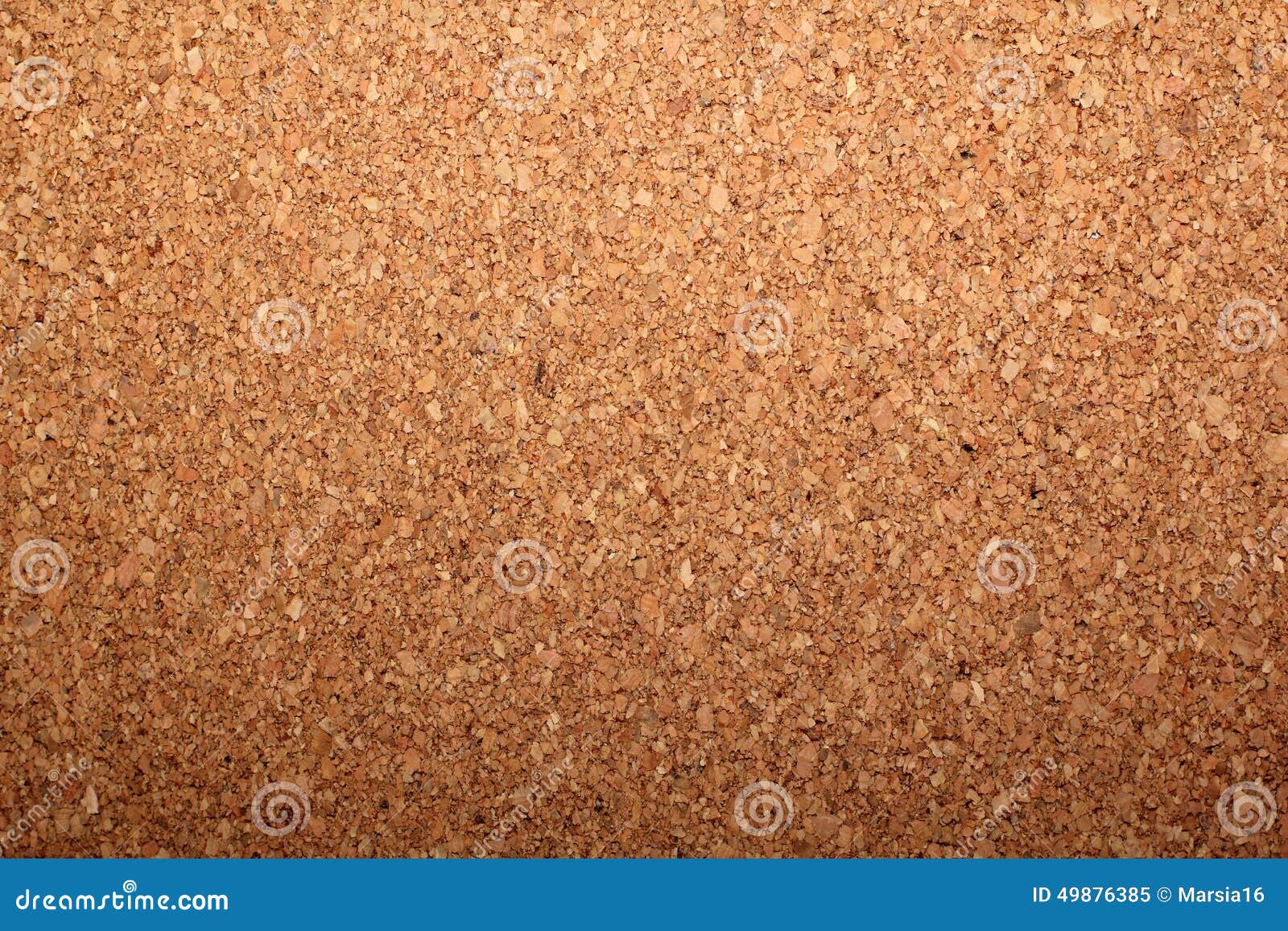 the texture of cork