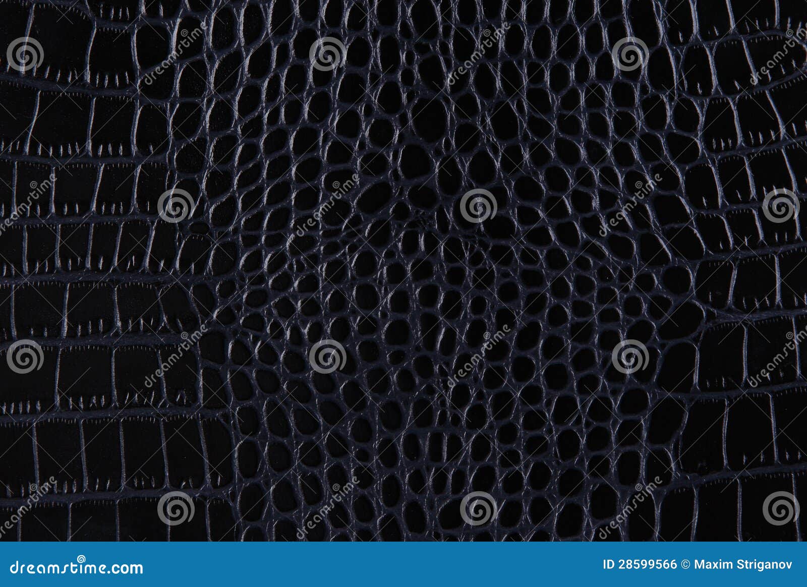 790 Red Crocodile Leather Texture Stock Photos - Free & Royalty-Free Stock  Photos from Dreamstime