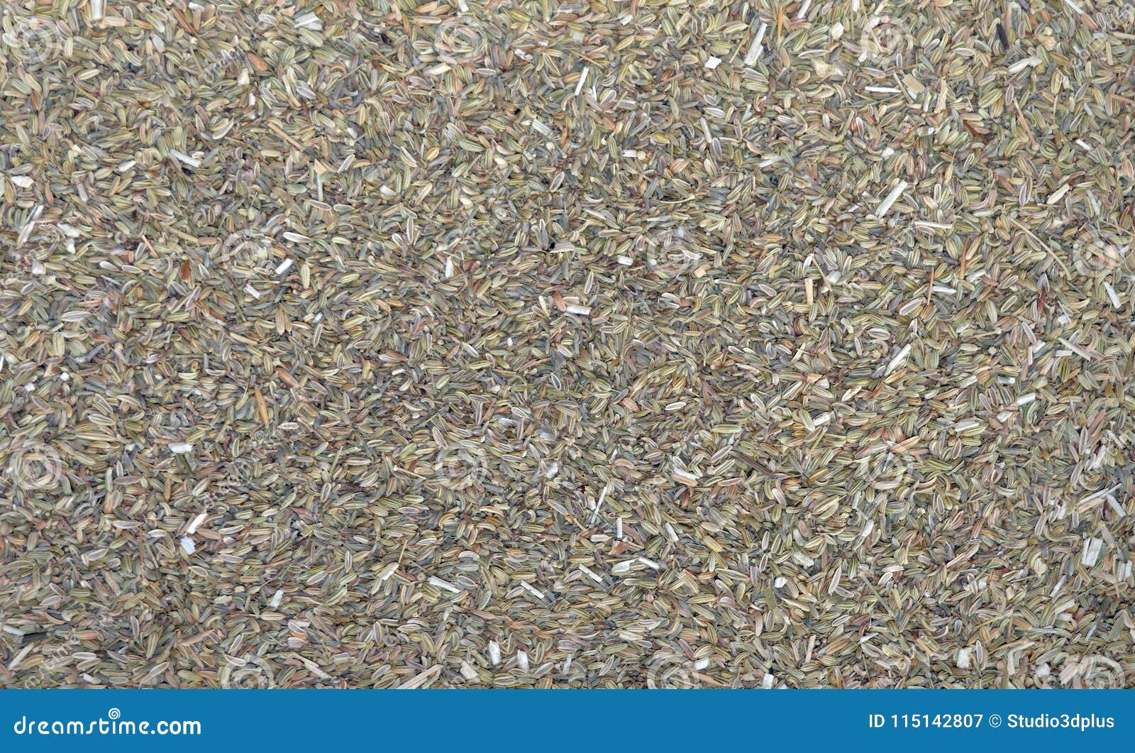 Dried Fennel Seeds Tea Texture Stock Image Image of seed, mint 115142807
