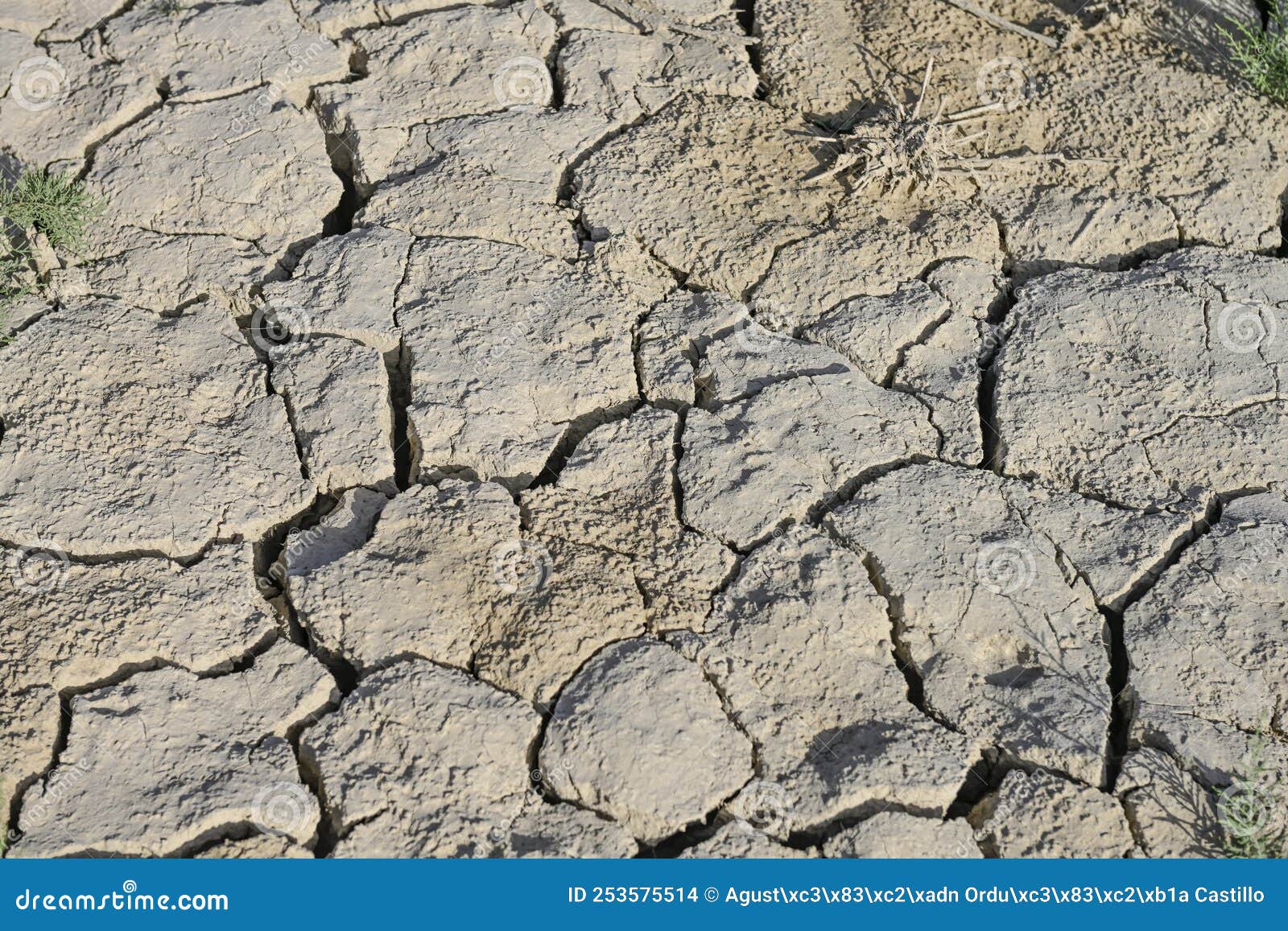 texture of dry land in southern europe. global warming and greenhouse effect.