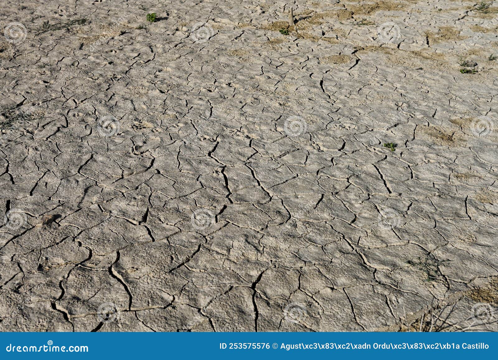 texture of dry land in southern europe. global warming and greenhouse effect.