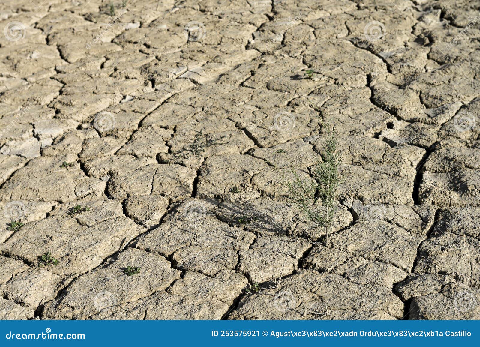 texture of dry land in southern europe. global warming and greenhouse effect.