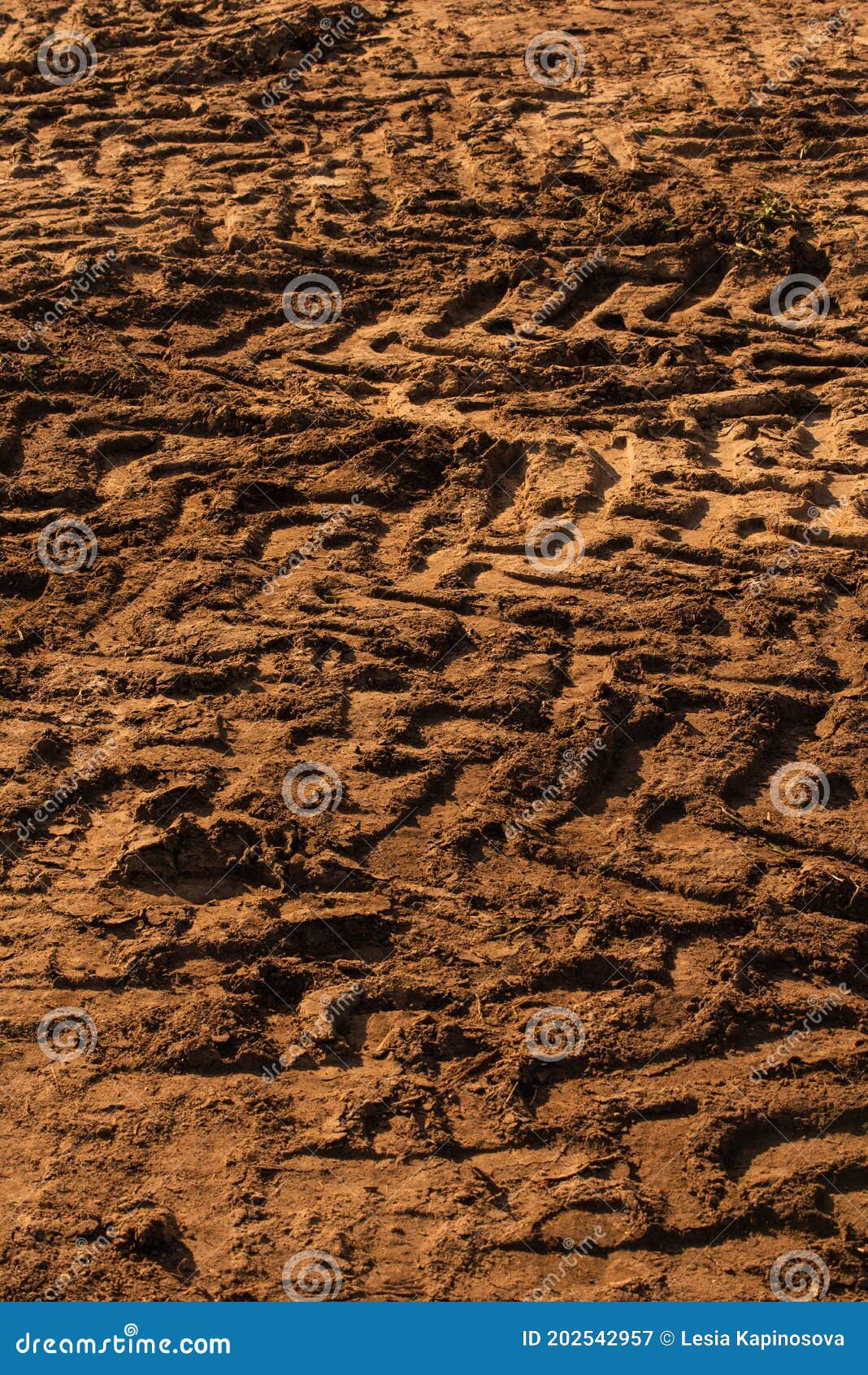 Texture of the Earth. Black Earth Soil Texture Stock Image Image of