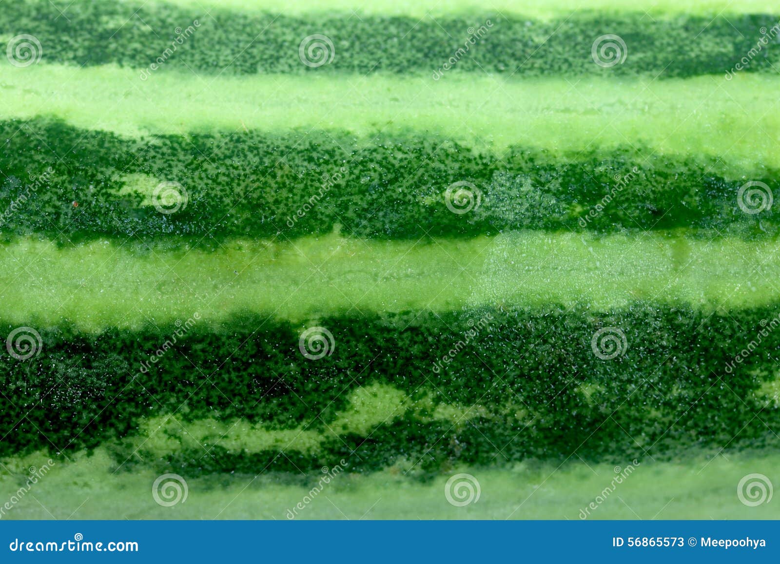Texture of Freshness Cucumber. Stock Image Image of organic, food 56865573