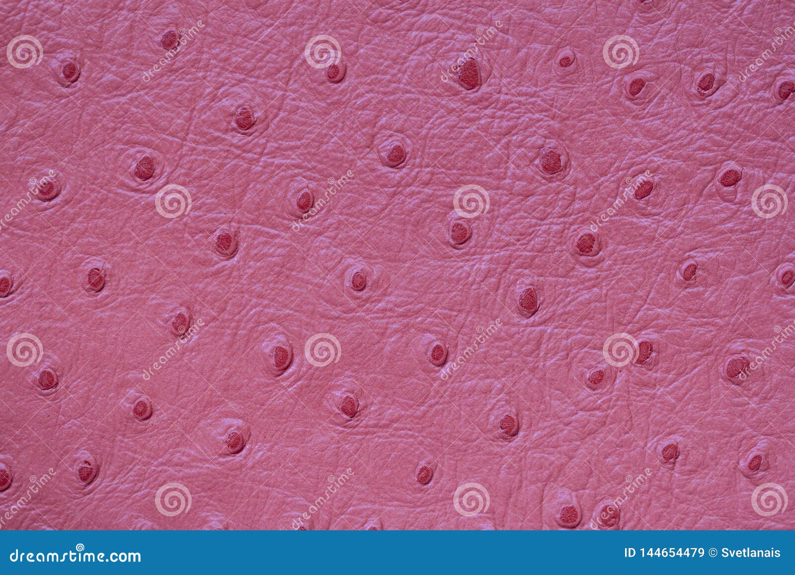 Texture of Genuine Matte Rough Leather Close-up, Embossed Under the Skin of Pink Ostrich. for Modern Pattern, Wallpaper Stock Image - Image of africa, genuine: 144654479 Texture of Genuine Matte Rough Leather Close-up, Embossed Under the Skin of Pink Ostrich. for Modern Pattern, Wallpaper Stock Image - Image of africa, genuine: 144654479