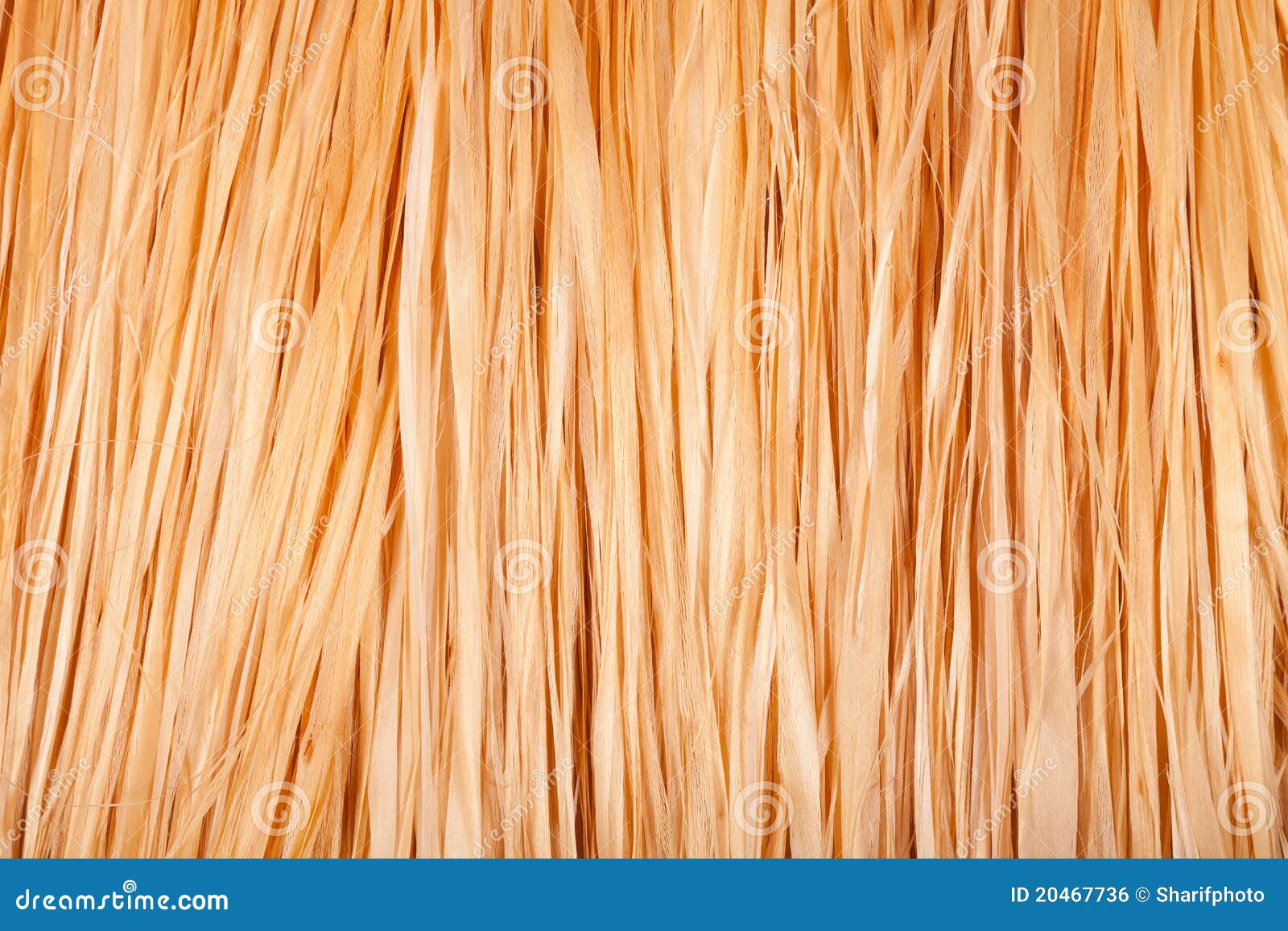 grass skirt pictures clip art free - photo #29