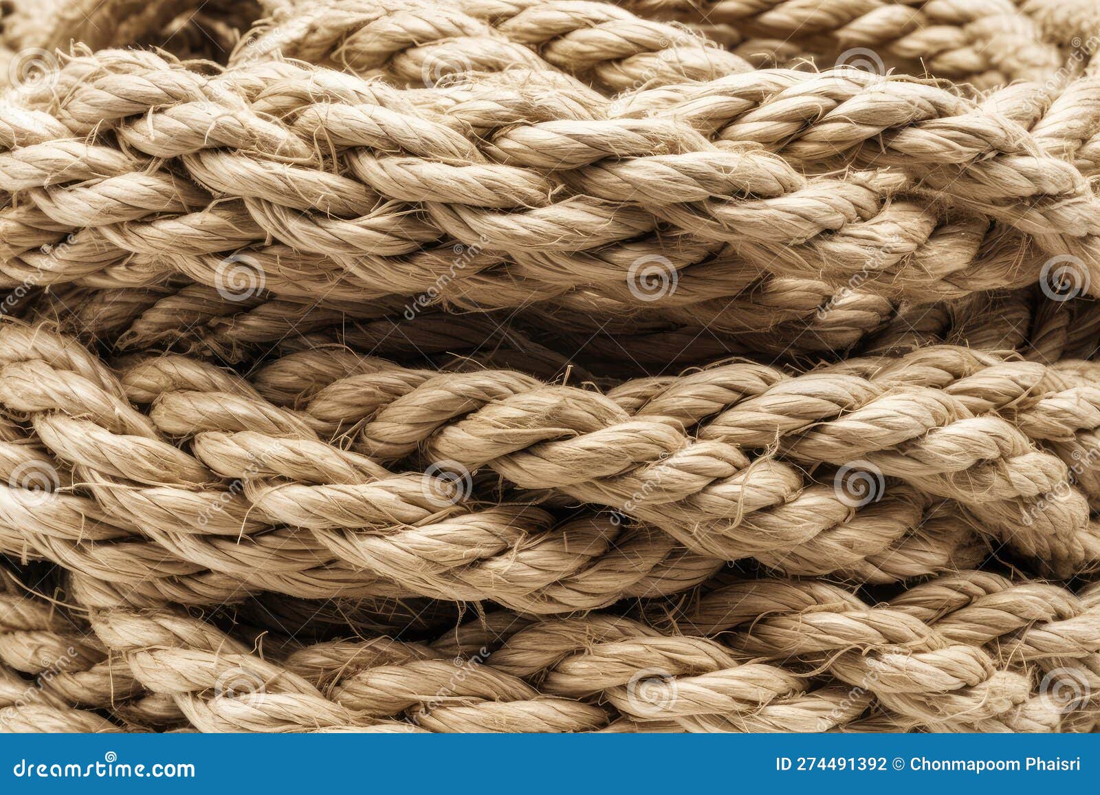 Hemp Rope Texture. High Resolution, Isolated on White Background