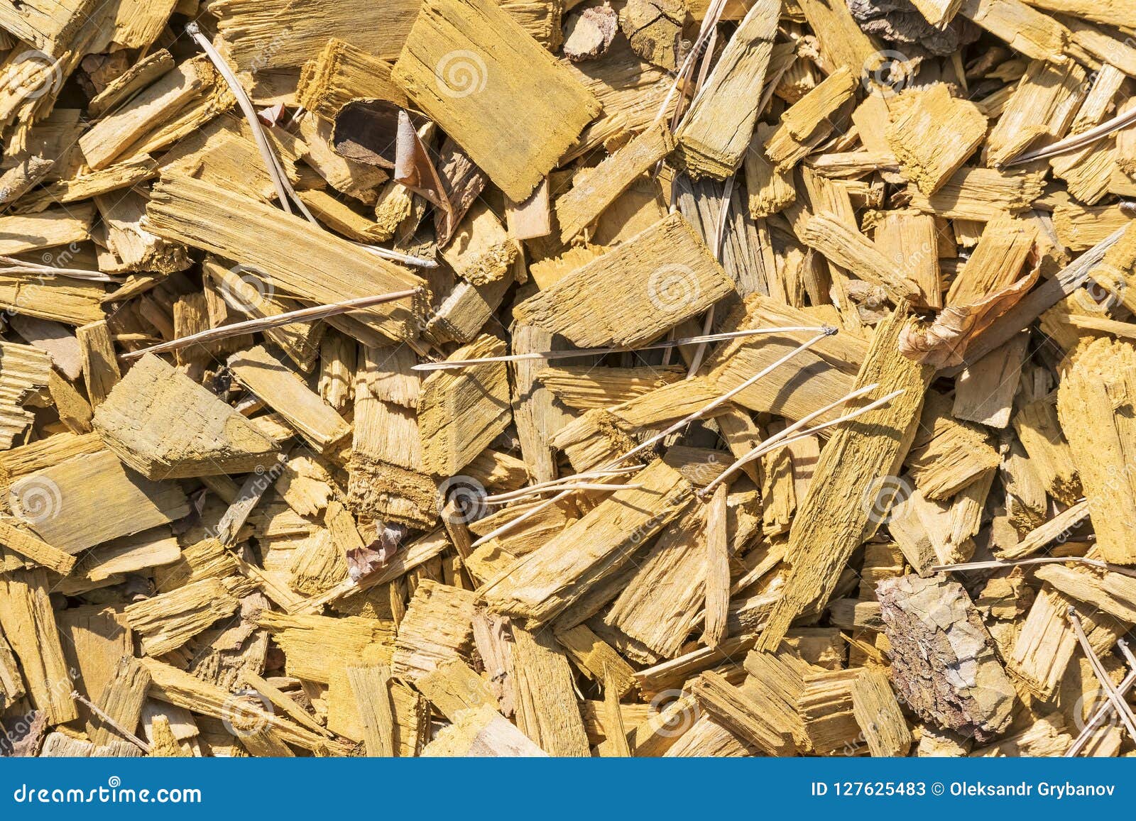 Wood Chips and Pine Needles Stock Image Image of backdrop, pine