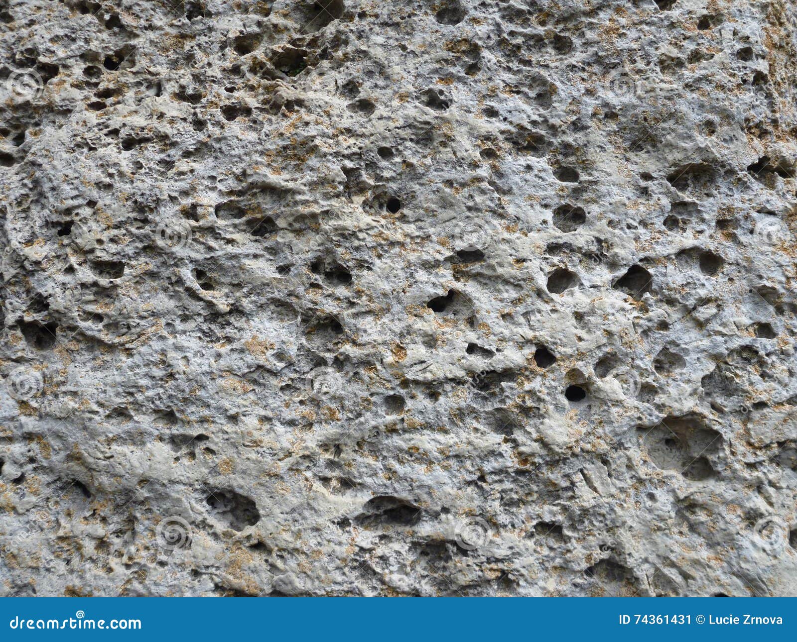 Texture of a Limestone Rock with Holes Stock Image Image of pattern