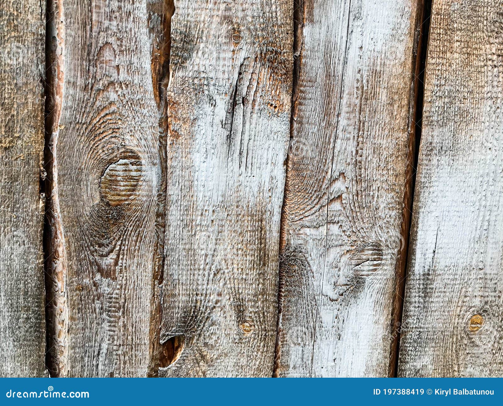 Texture, Natural Background. Wood Texture, Brown Irregular Background