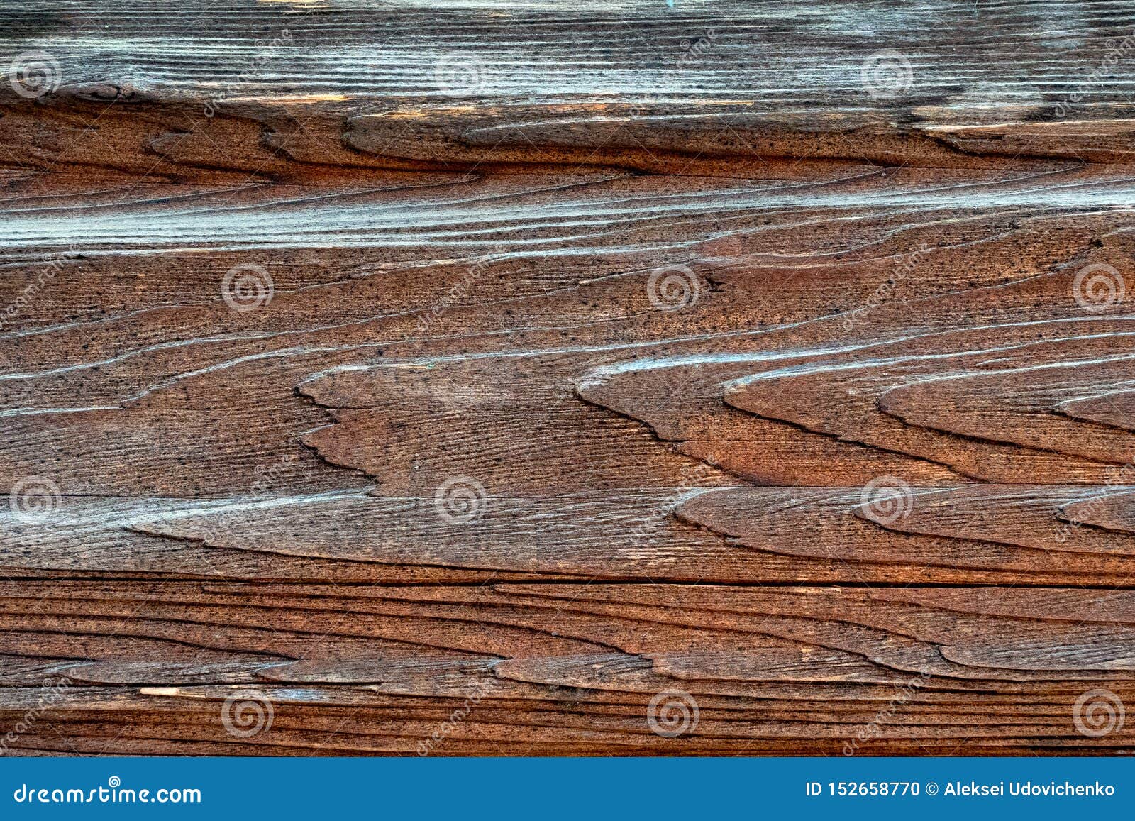 Texture of Natural Wood Painted with Paint Stock Photo Image of panel