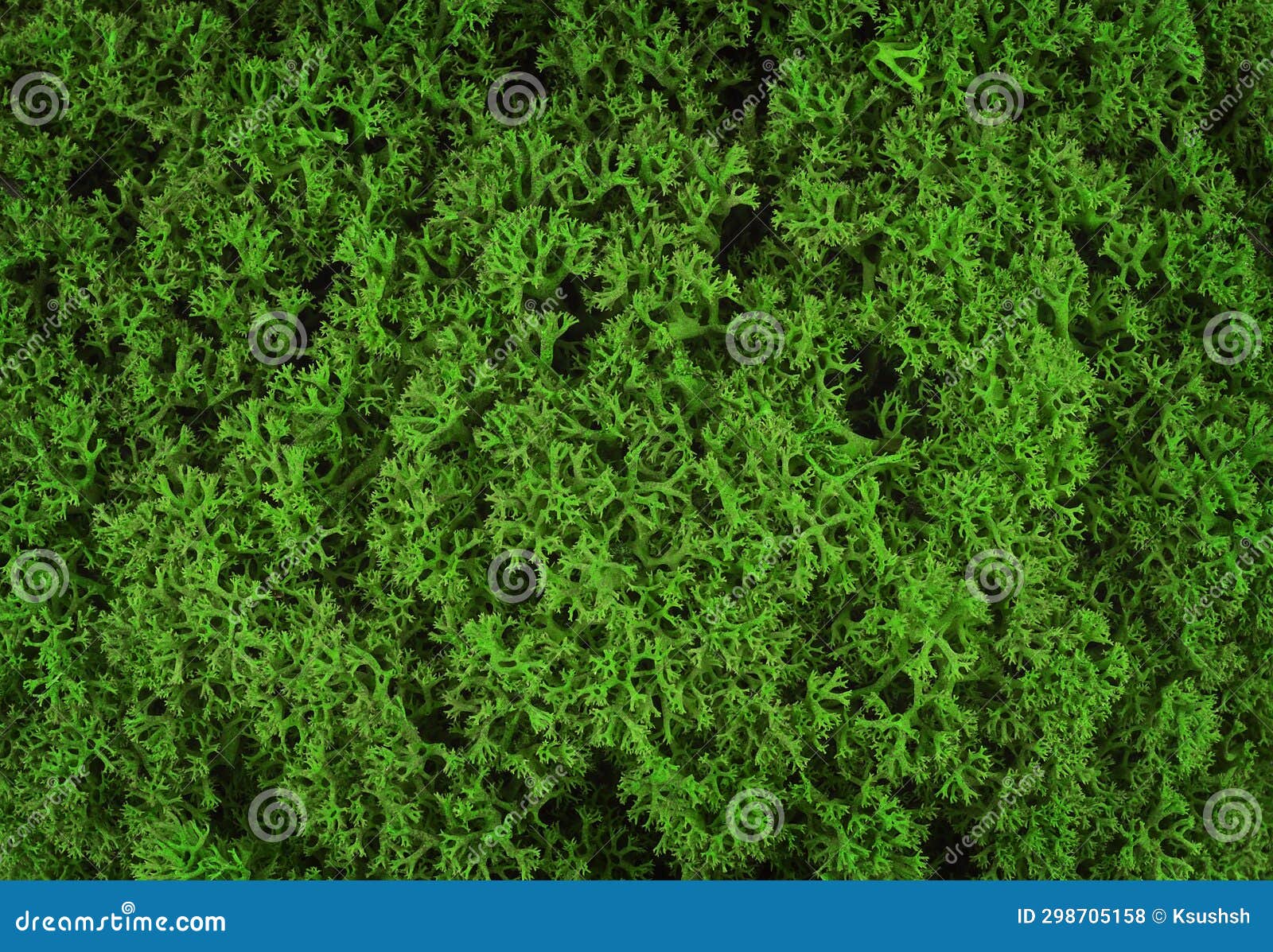 Texture O F Green Stabilized Moss for Background Stock Photo Image of