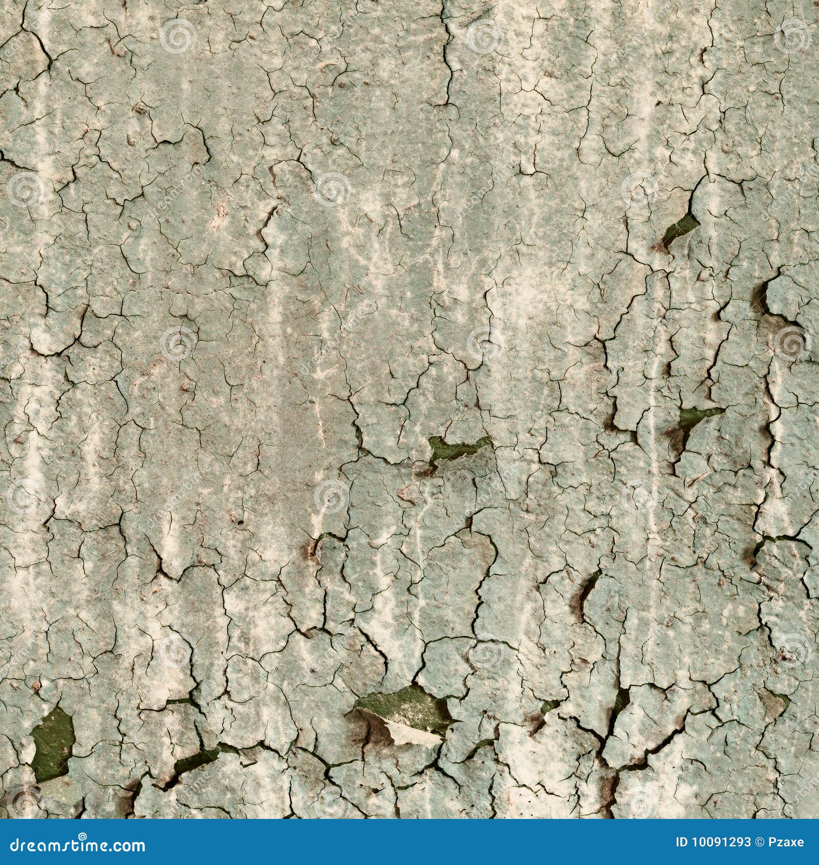 Damaged Paint Or Corroded Or Rusted Two Way Breeching Inlet Of An Fire