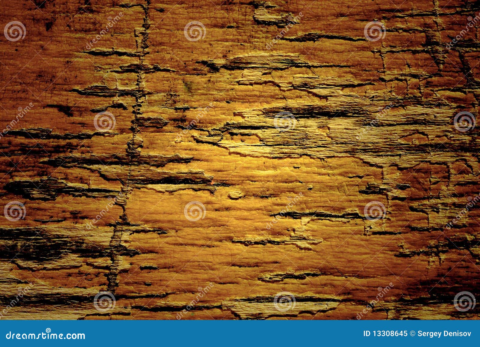 Texture of the Old Damaged Pine Wood Stock Image Image of hardwood