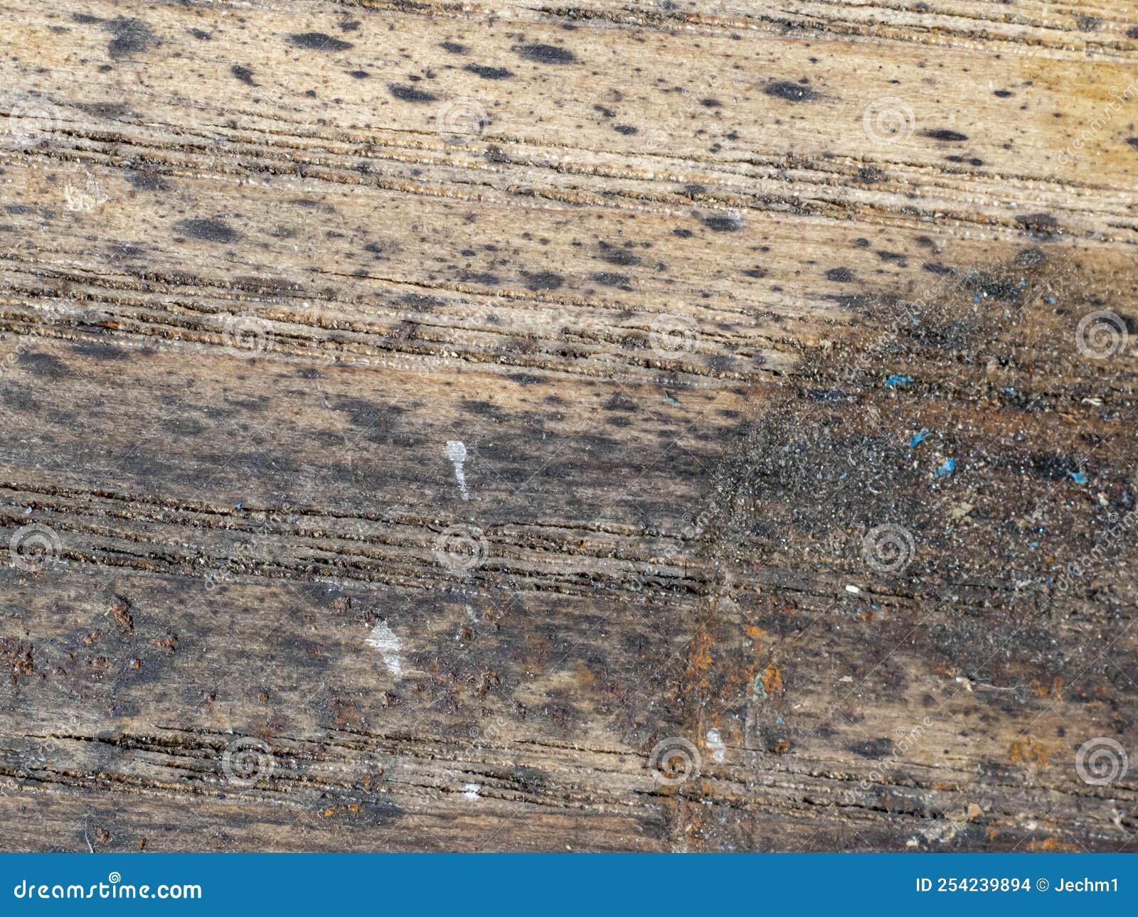 Texture of Old Deteriorated and Broken Wood. Resources and Textures