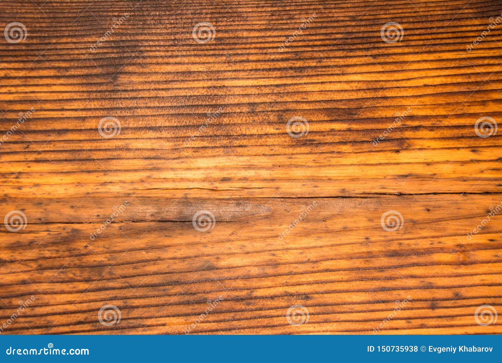 The Texture of the Old Pine. Wood Texture Stock Photo Image of