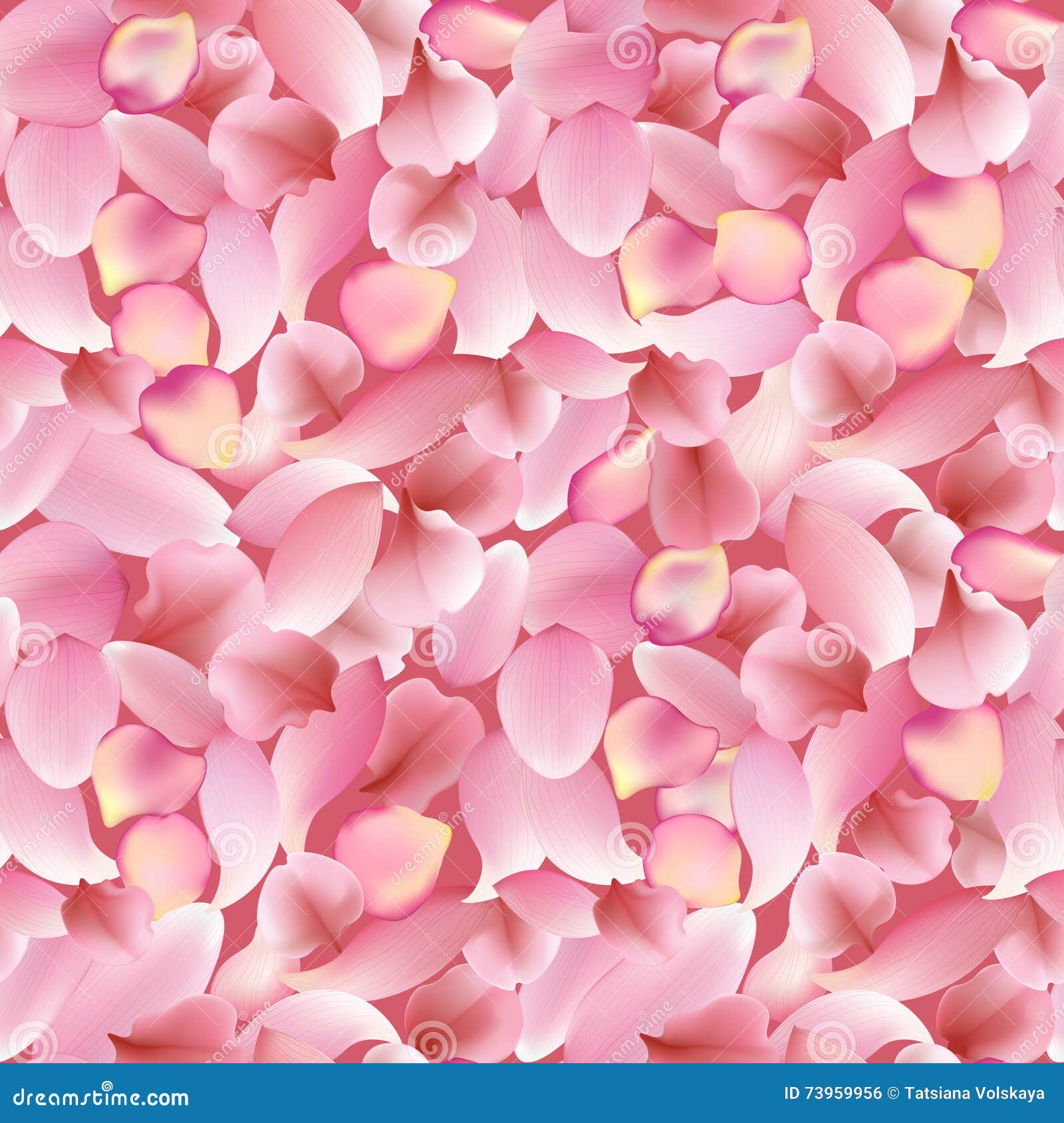 Lotus Flower Petal Texture