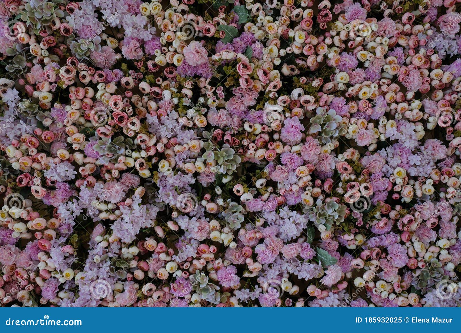 Texture of Pink Floral Wall in the Interior Stock Image Image of wall