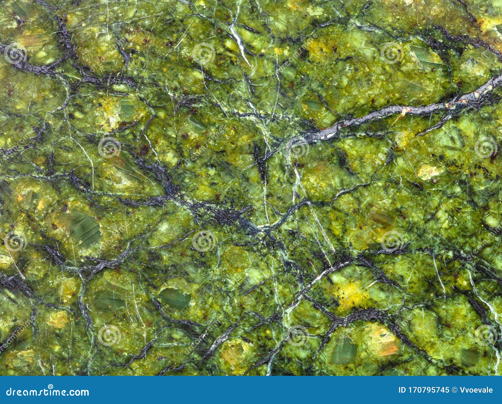 Texture of Polished Natural Serpentinite Rock Stock Image - Image of