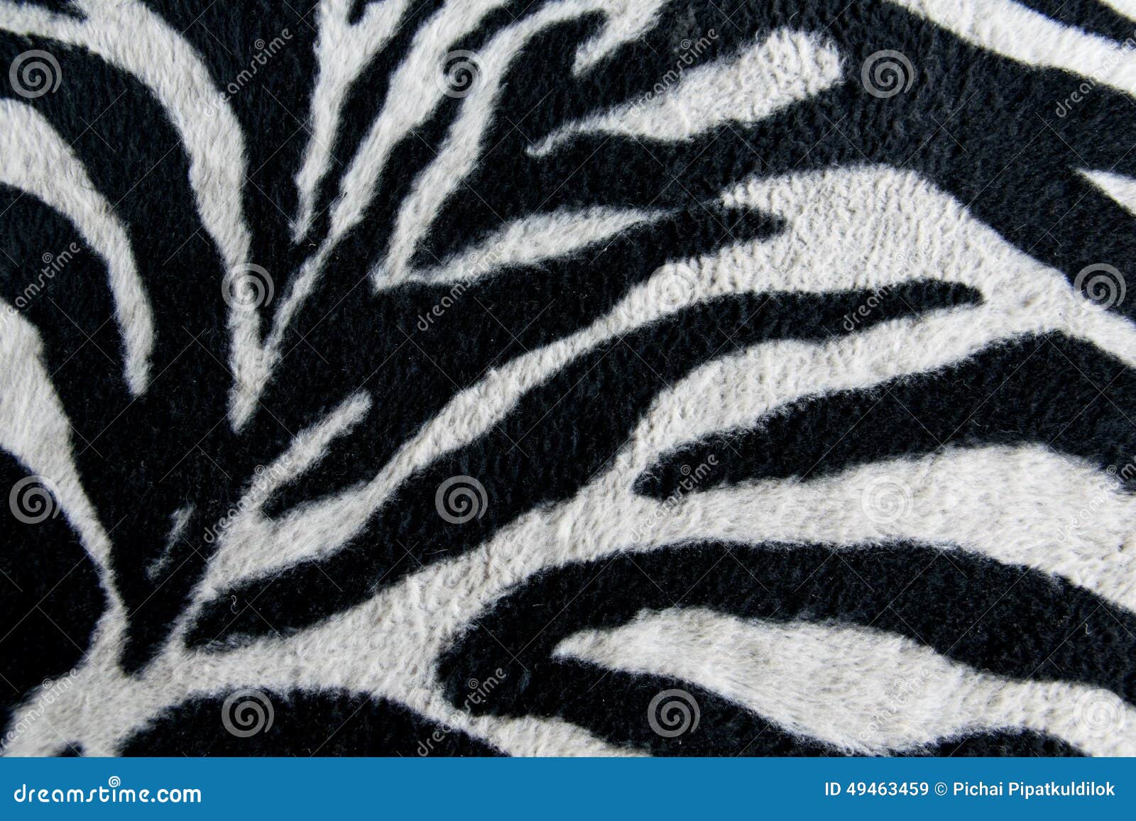 Texture of Print Fabric Stripes Zebra for Background Stock Image