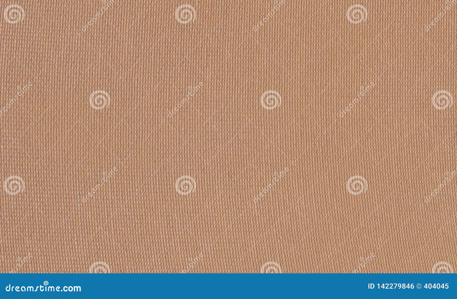 Texture Quality Nylon Stockings Stock Photo Image of natural