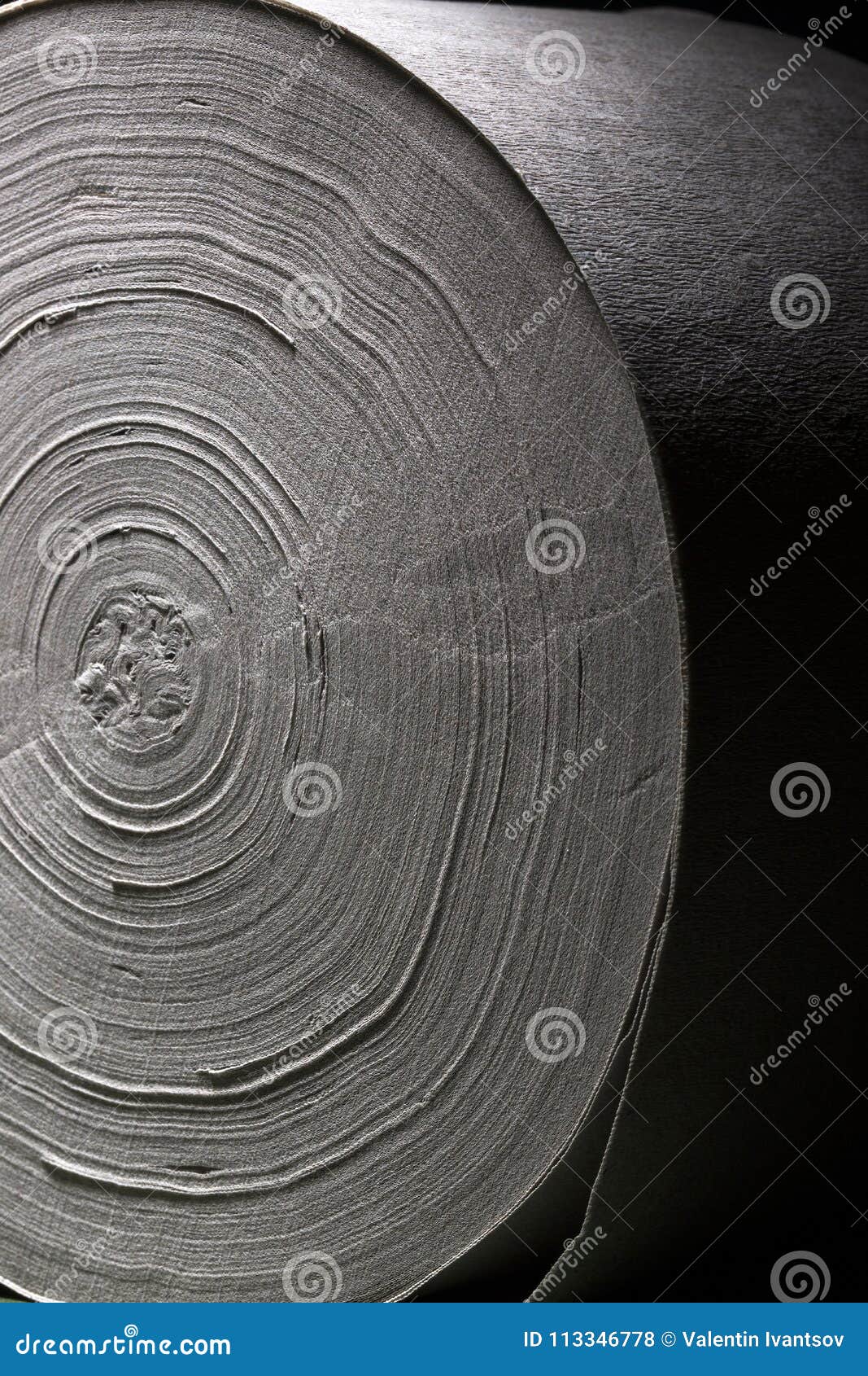 Texture of a Roll of Singlelayer Toilet Paper. Stock Photo Image of