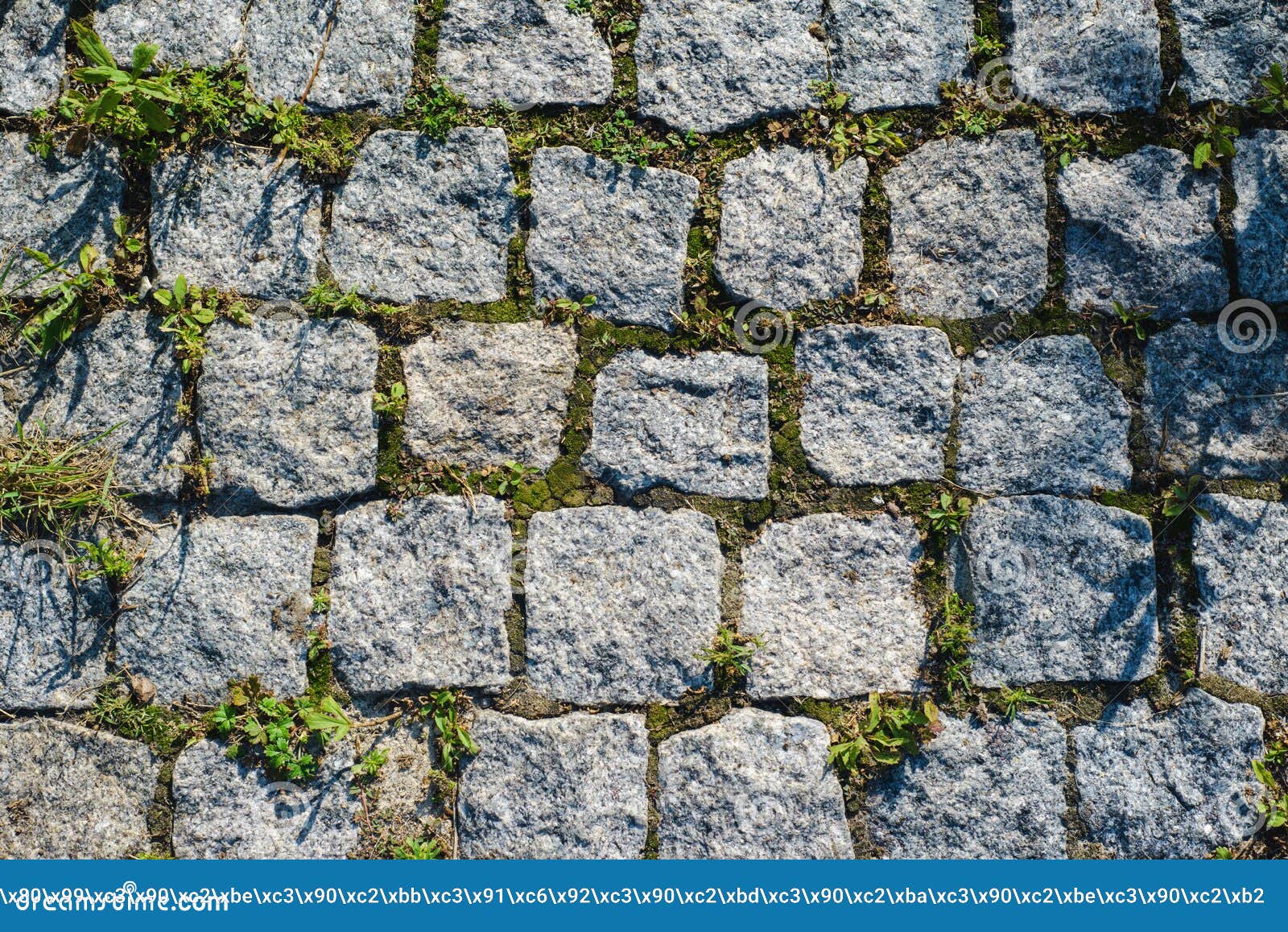 Texture of the Stone Tiles Overgrown with Moss Stock Photo - Image of