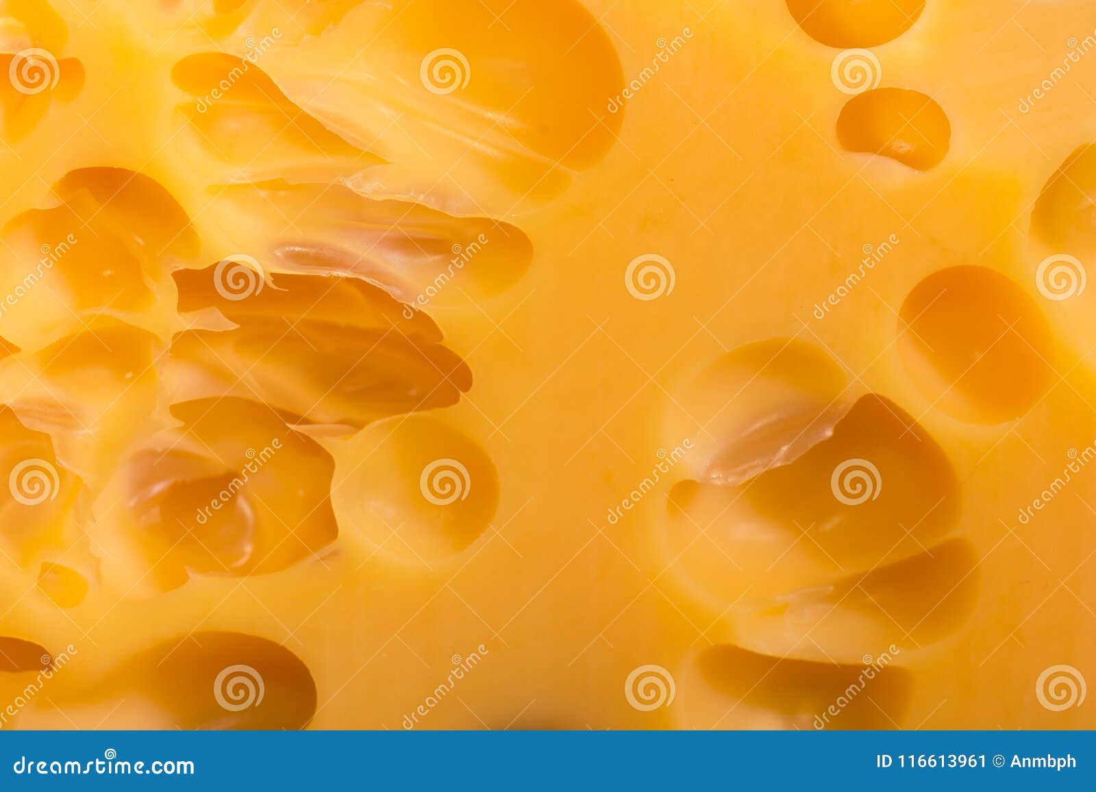 Texture of the Swiss Cheese Closeup Stock Image Image of food
