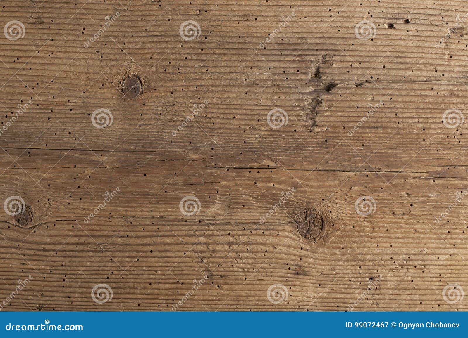 Texture Of Termite Damaged Wood Stock Image Image Of Hole