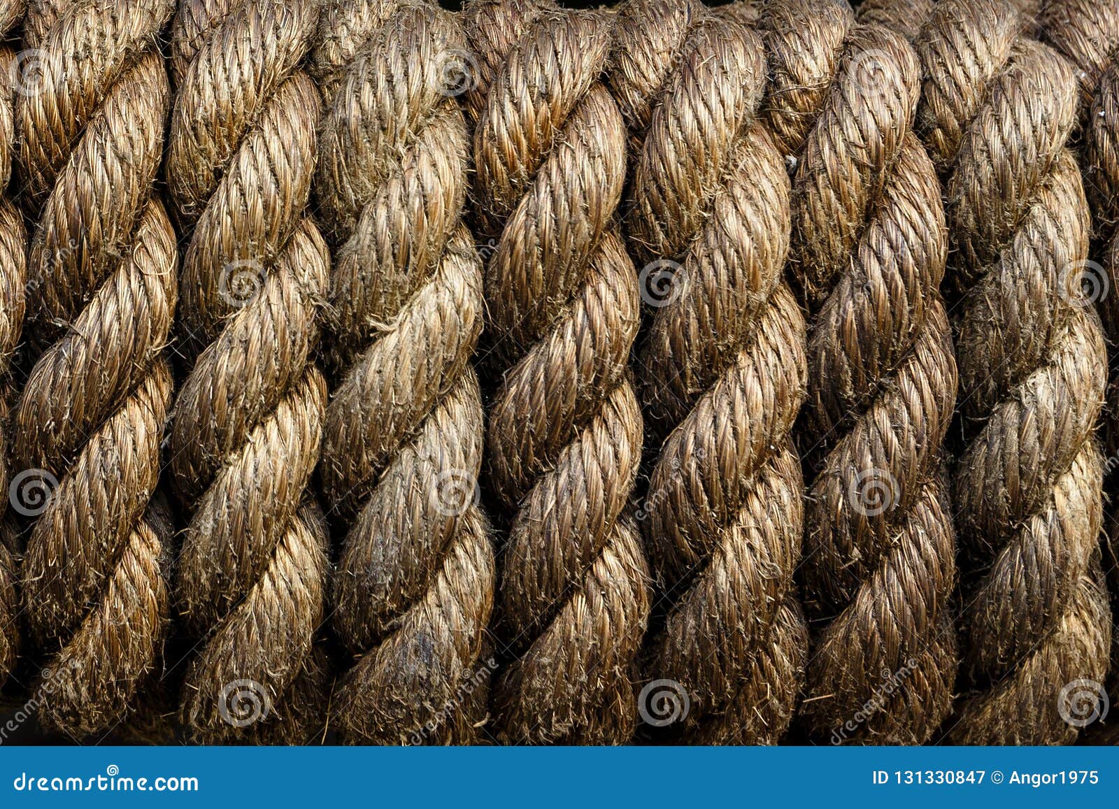 Tightly wound, very strong rope. The rope is thinner and rolled into a  perfect circle. The