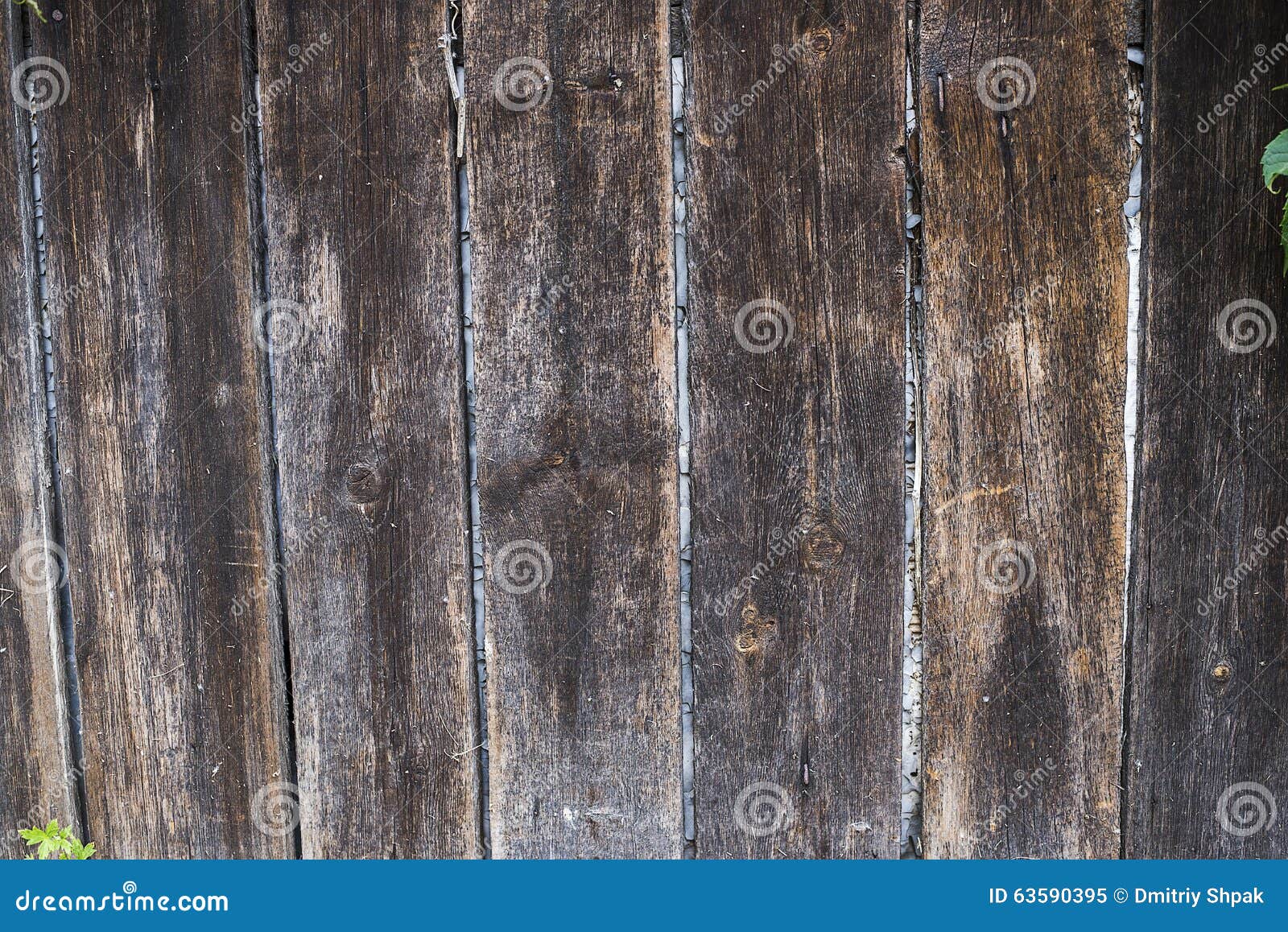 Texture of wood. Old wooden boards. high sharpness