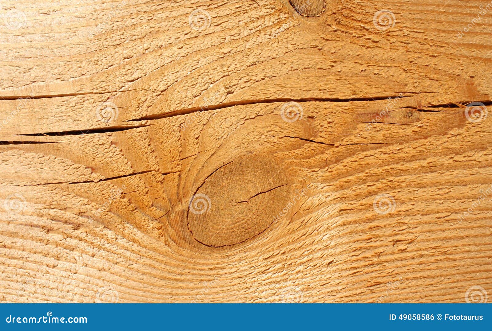 Texture Of Wood Stock Photo Image Of Floor Borders 49058586