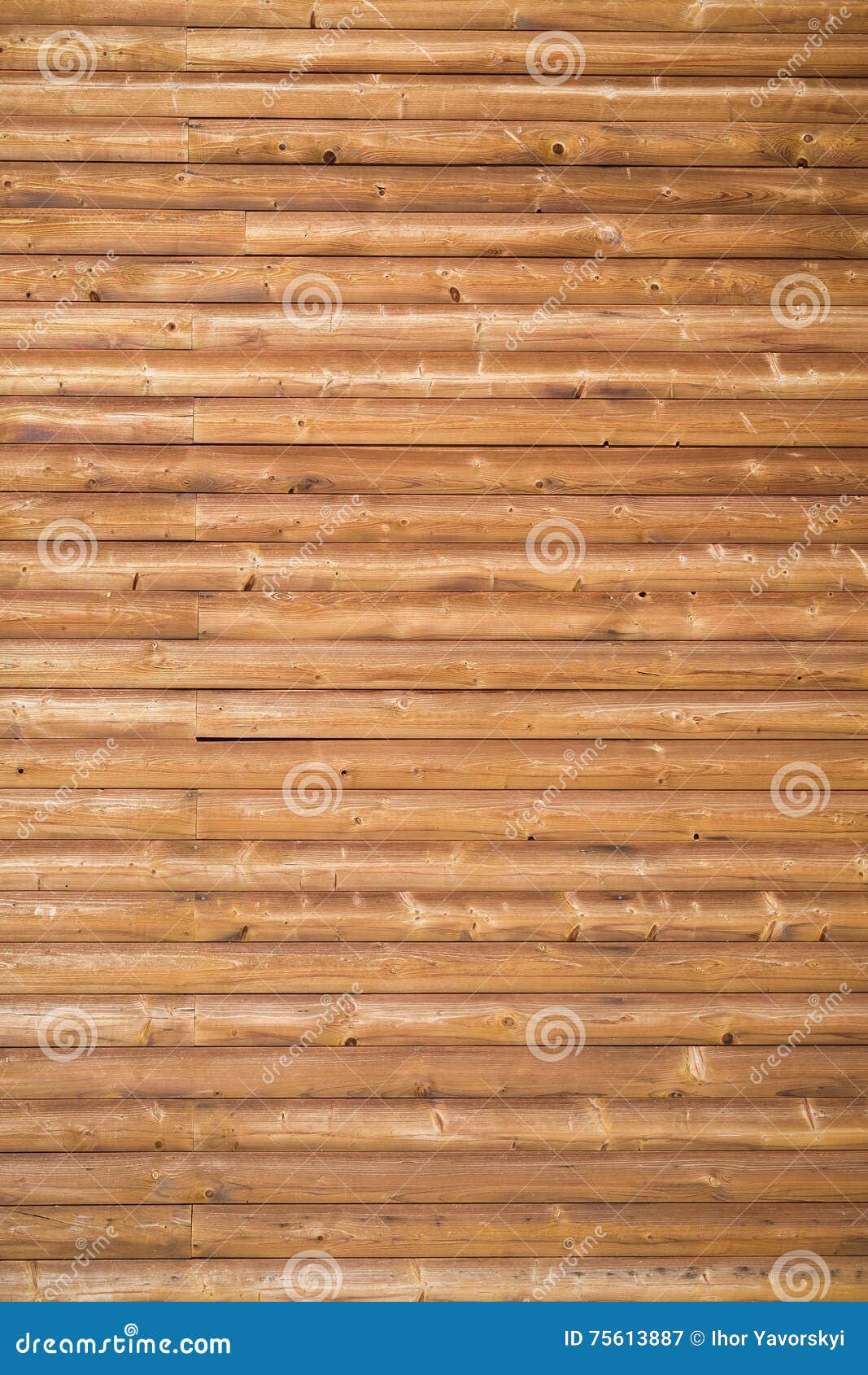 Texture of wooden surface - can be used as background. Texture of wooden surface bacground forest