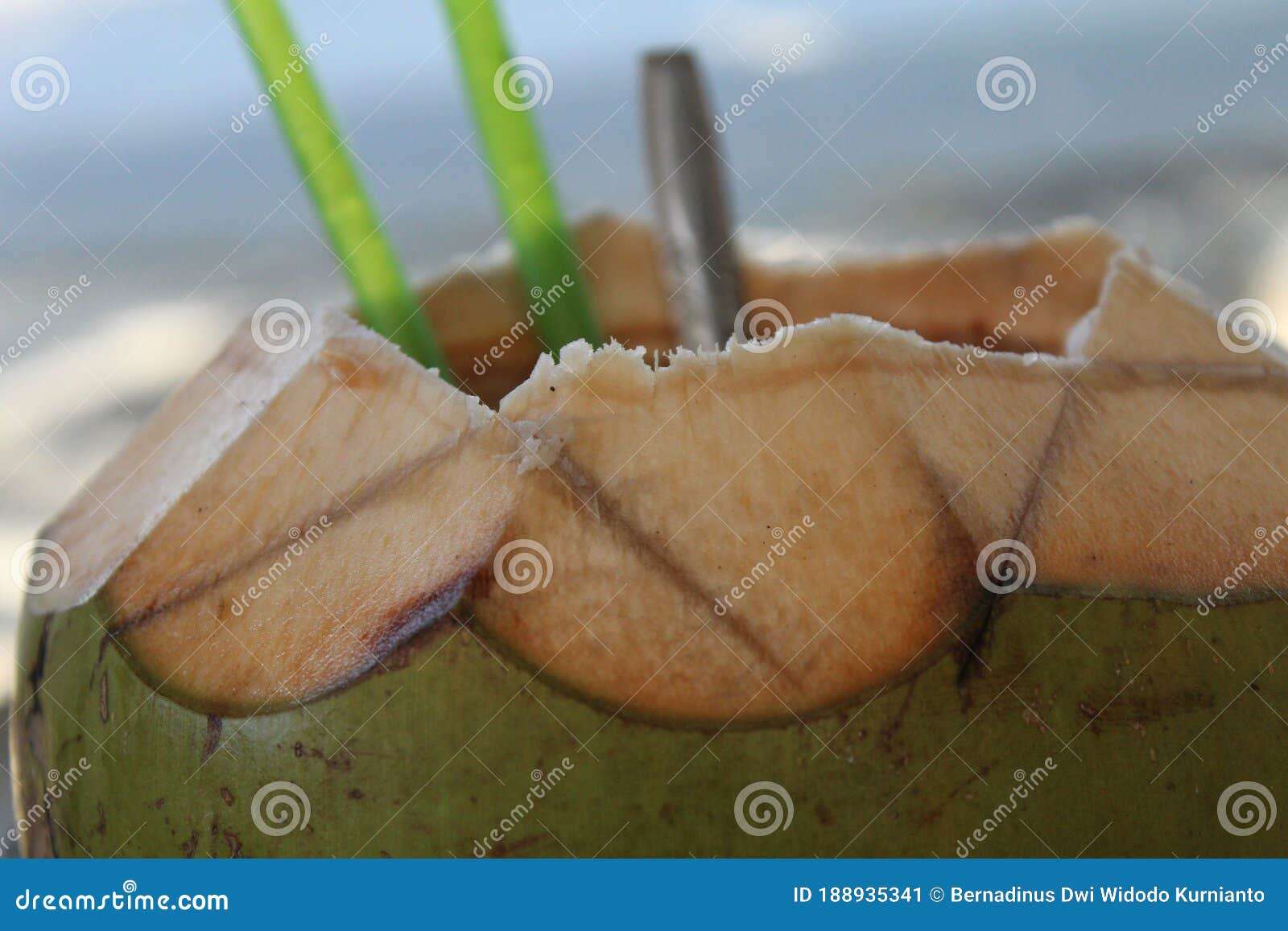 Photo Young coconut ice Blitar